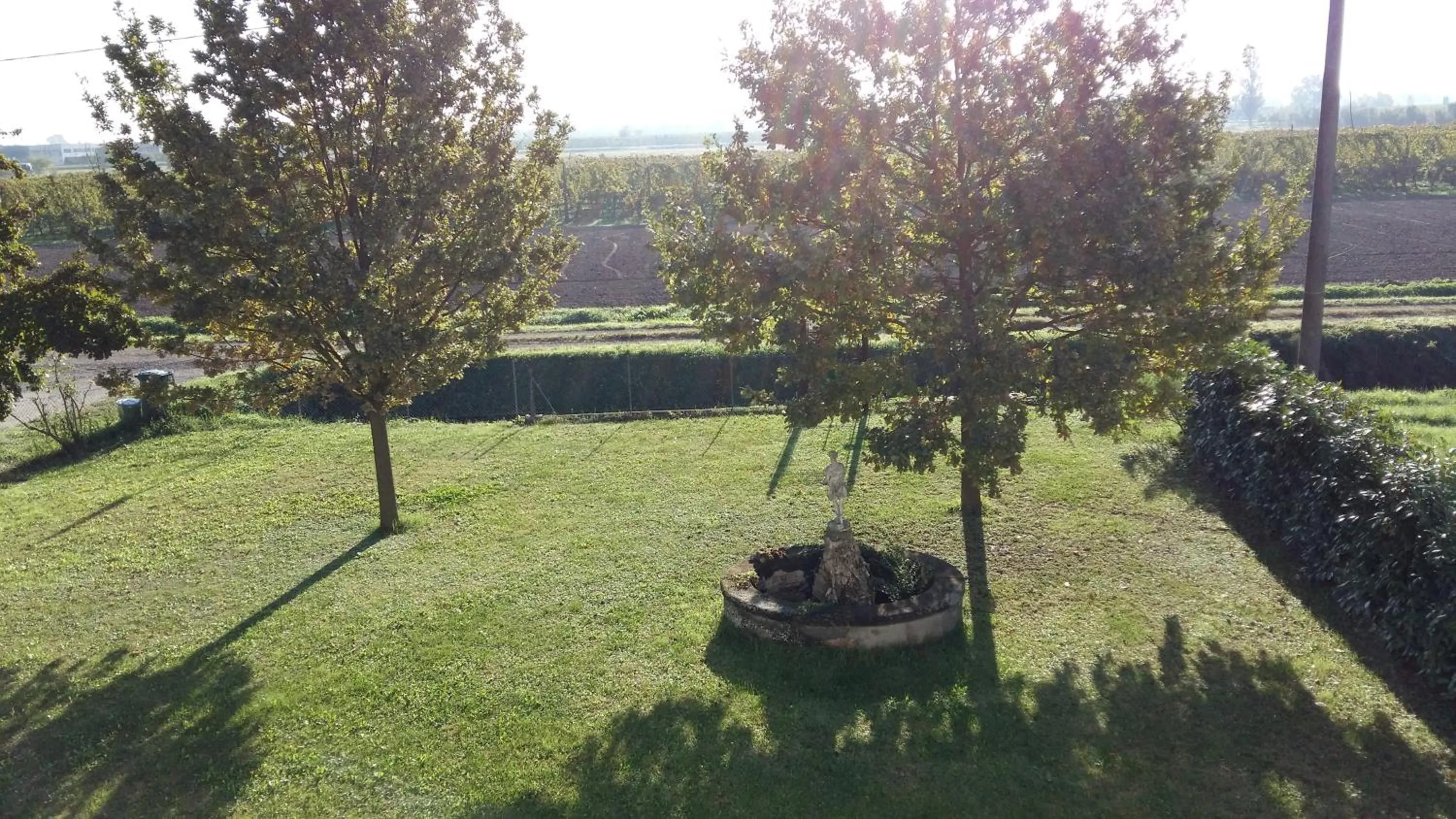 Garden in B&B Le Ripe