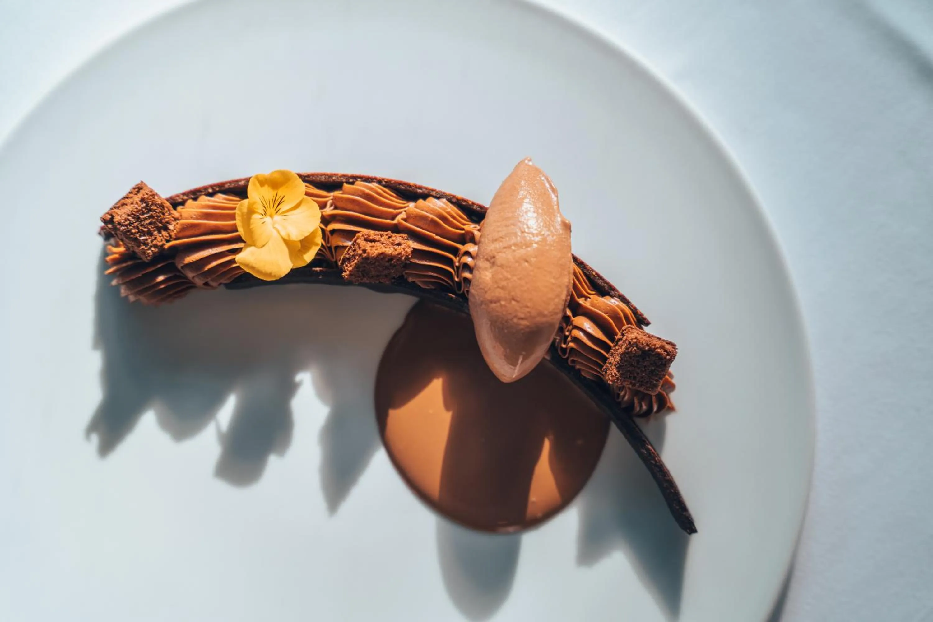 Restaurant/places to eat in Villa Duflot Hôtel & Spa Perpignan