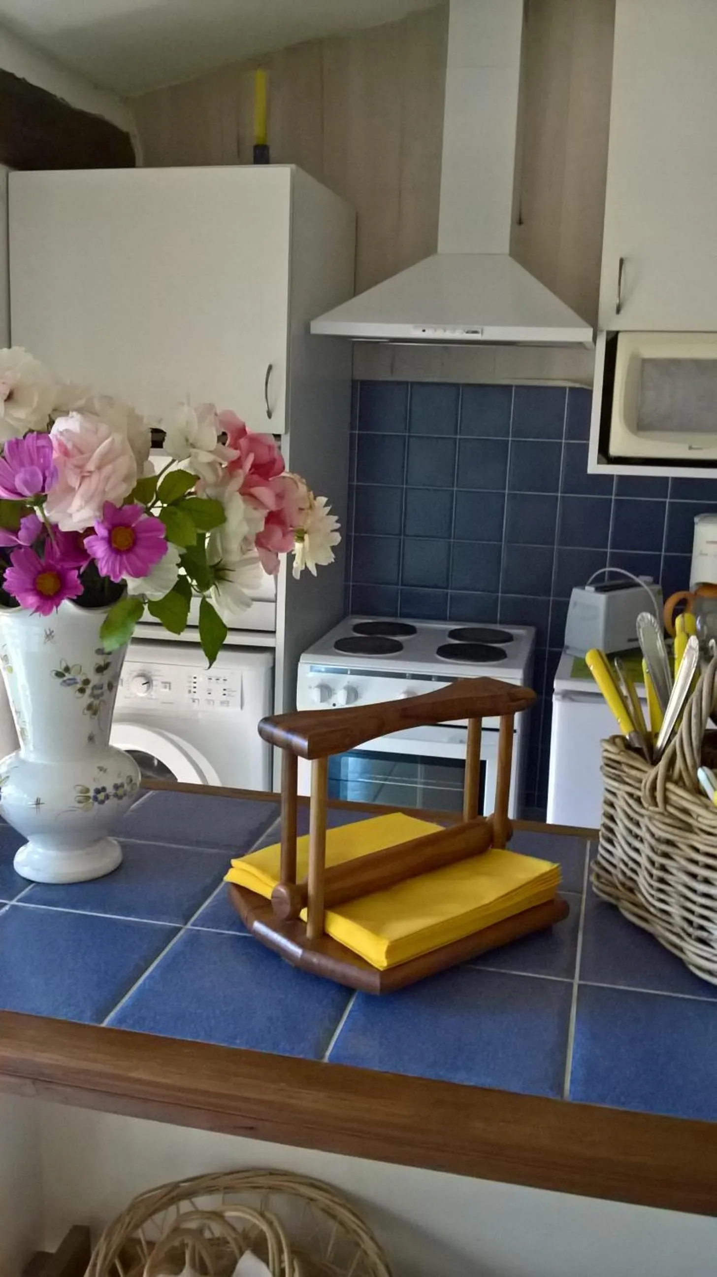 Kitchen or kitchenette in Les grands pins