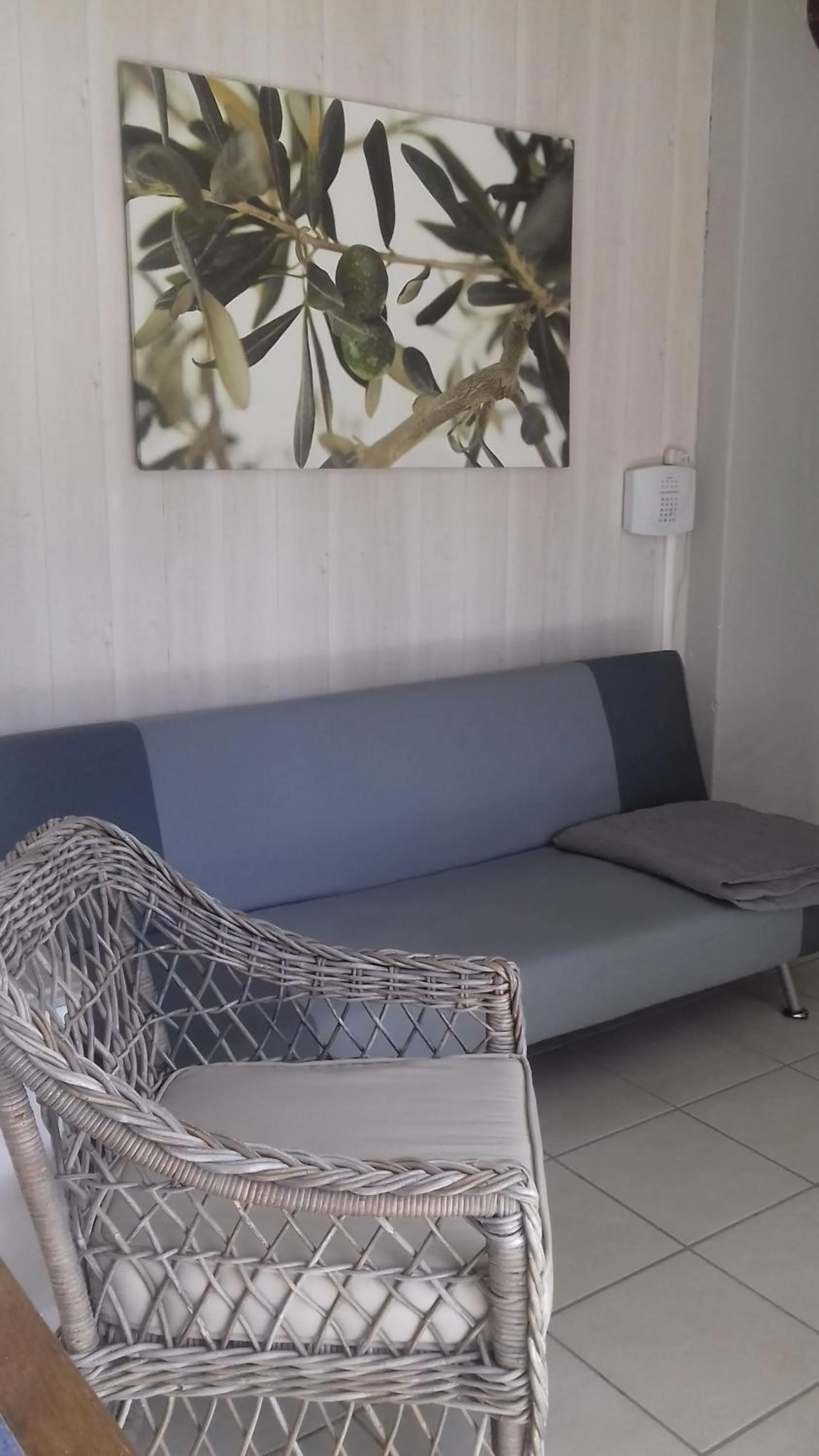 Living room in Les grands pins