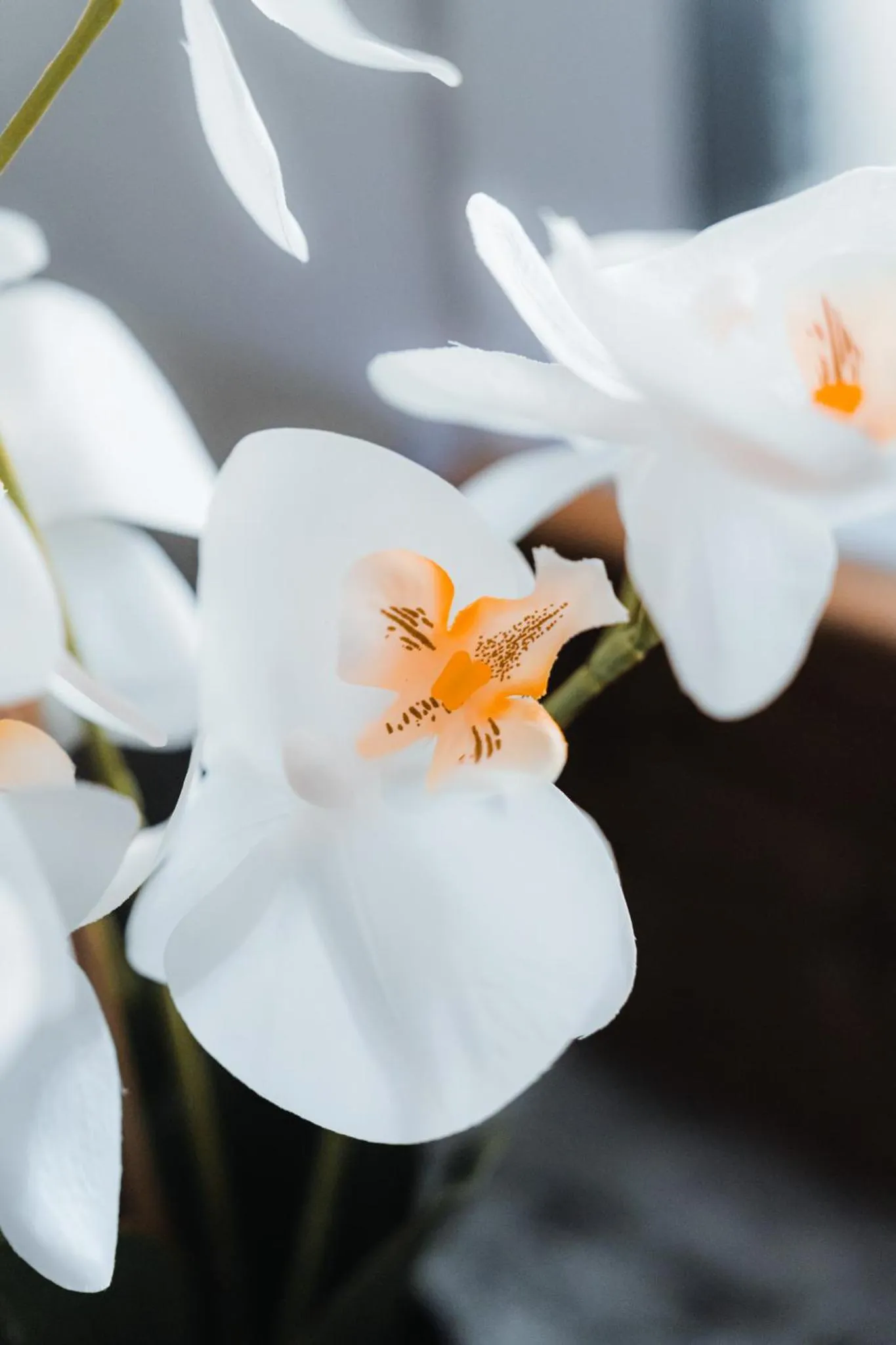 urban by balladins Perpignan