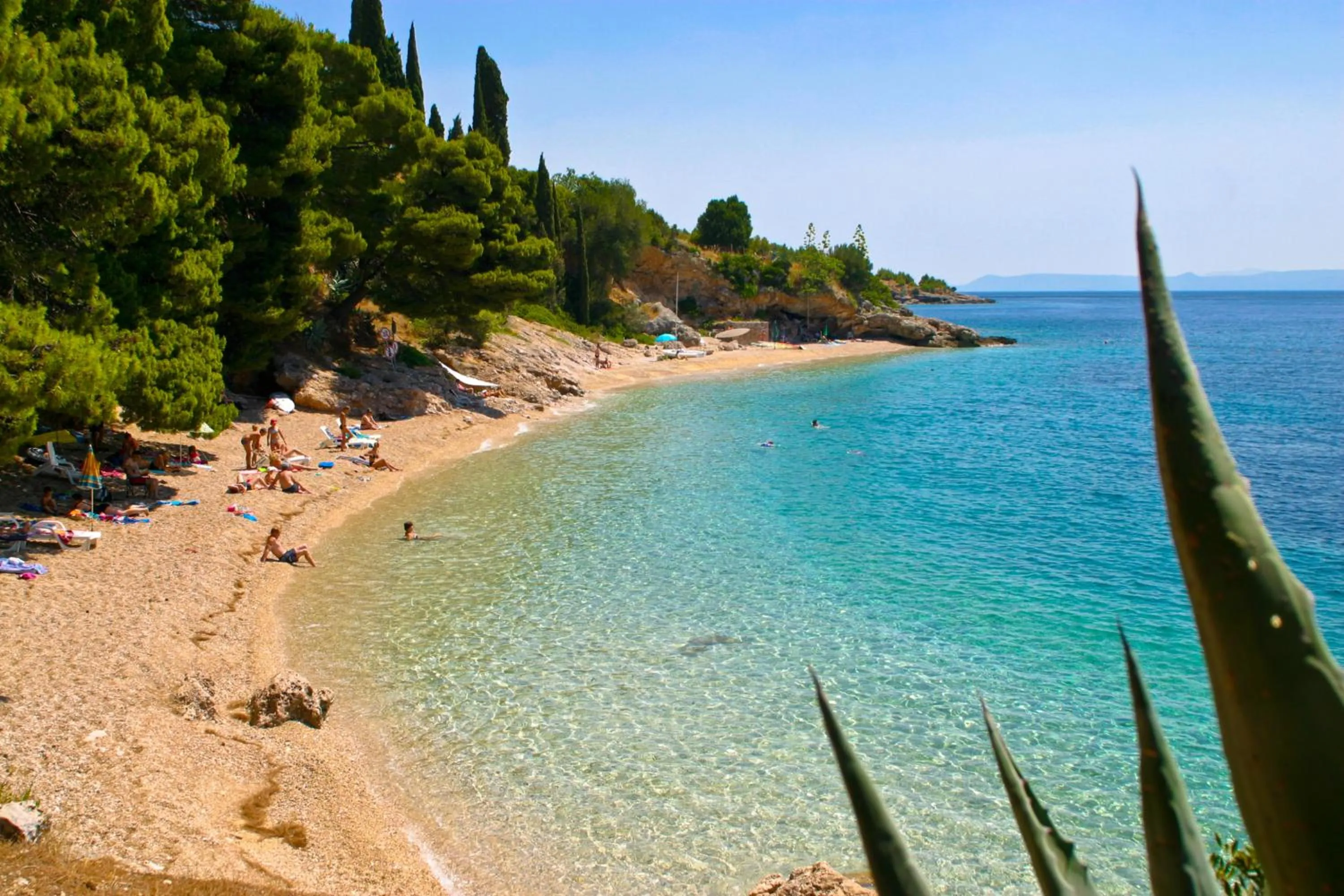 Area and facilities in Villa Midea