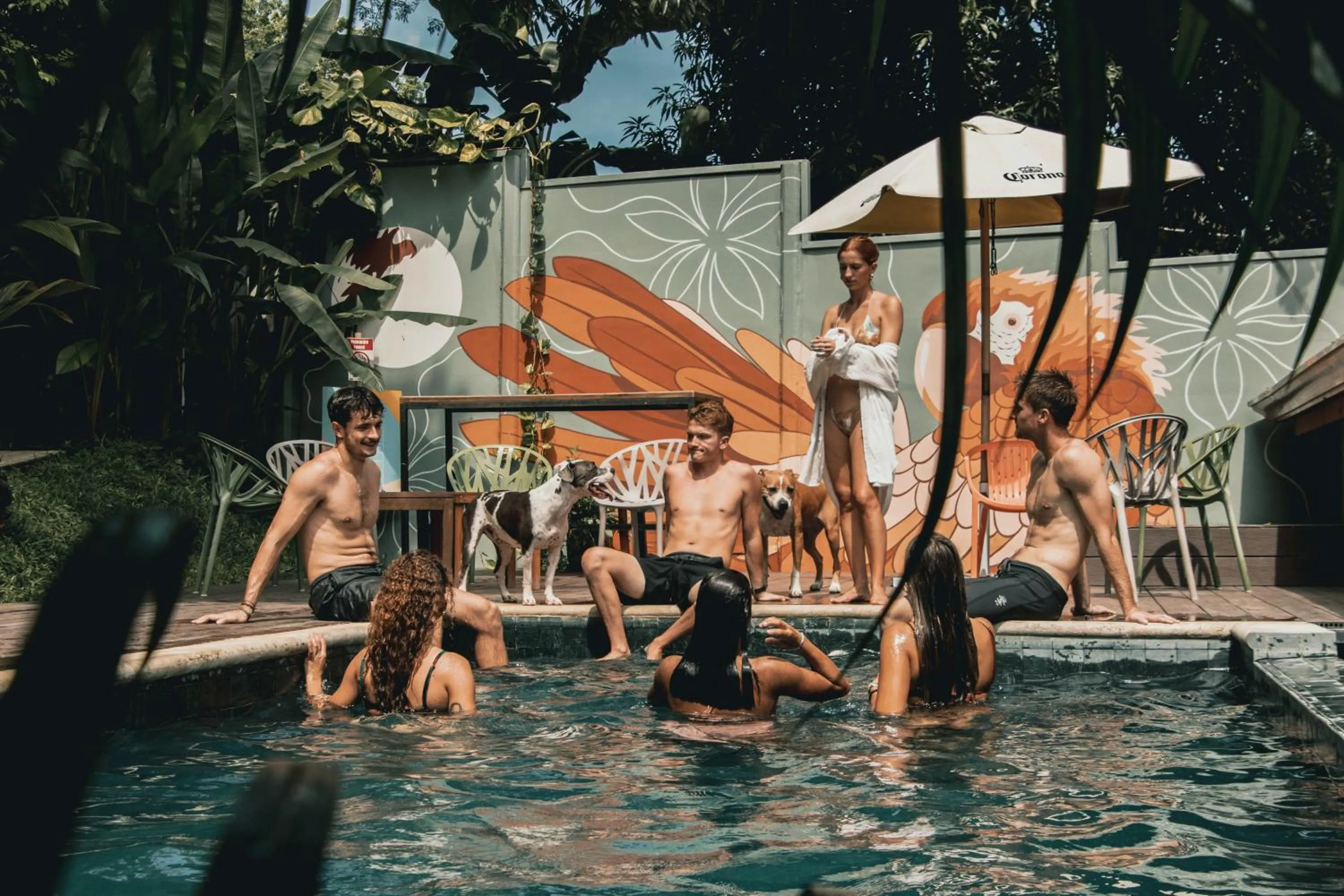 Armonia Santa Teresa