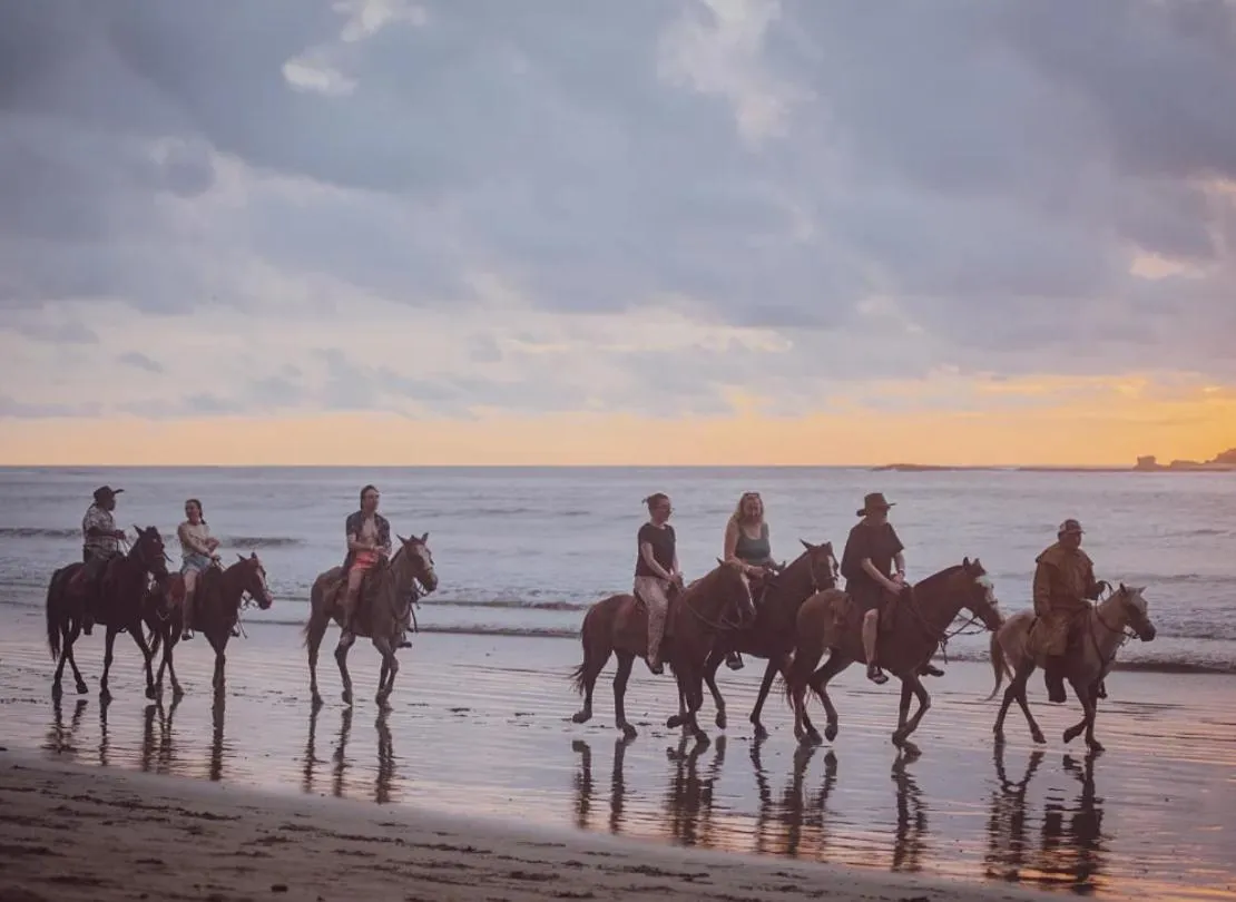 Armonia Santa Teresa