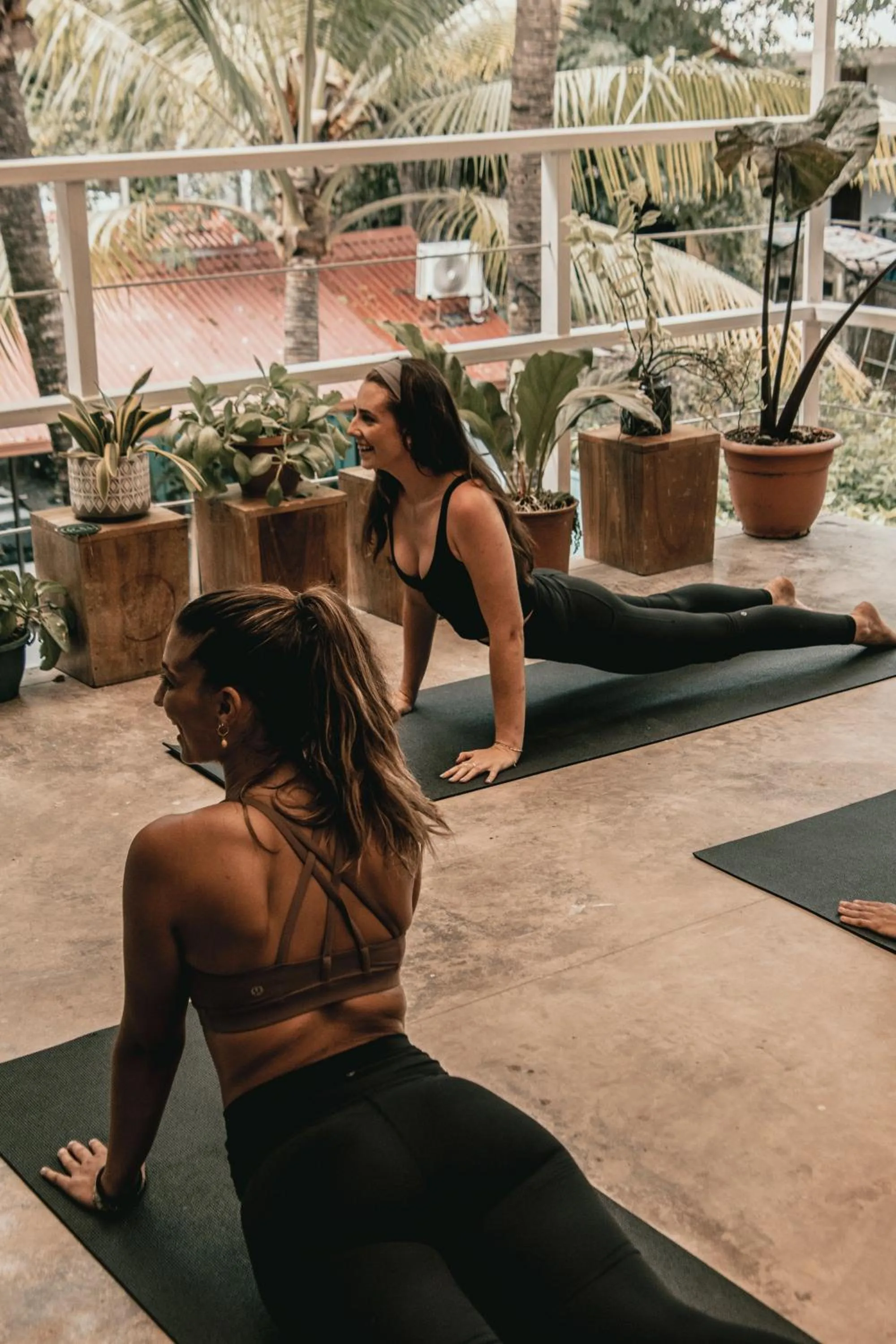 Armonia Santa Teresa