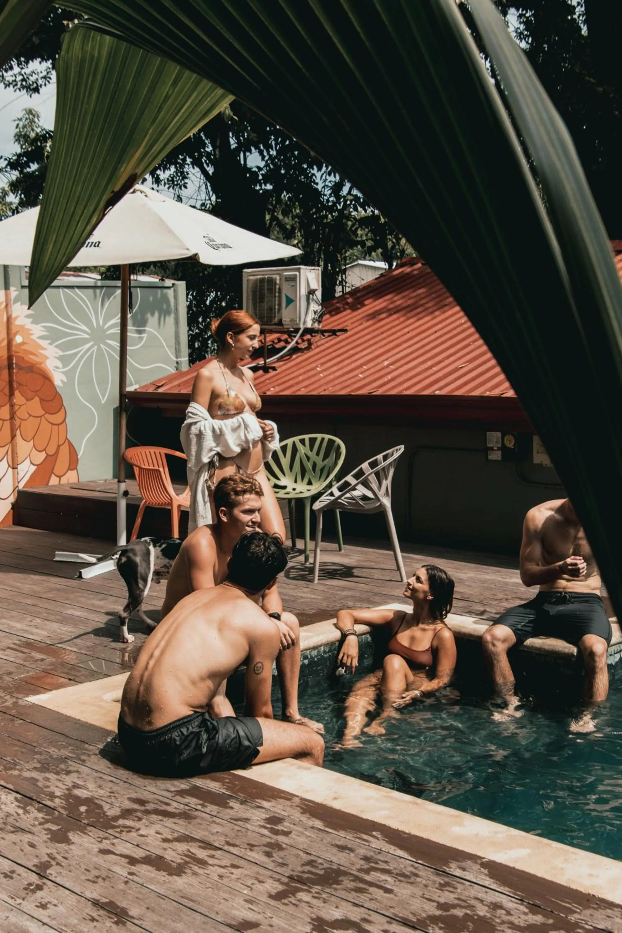 Armonia Santa Teresa