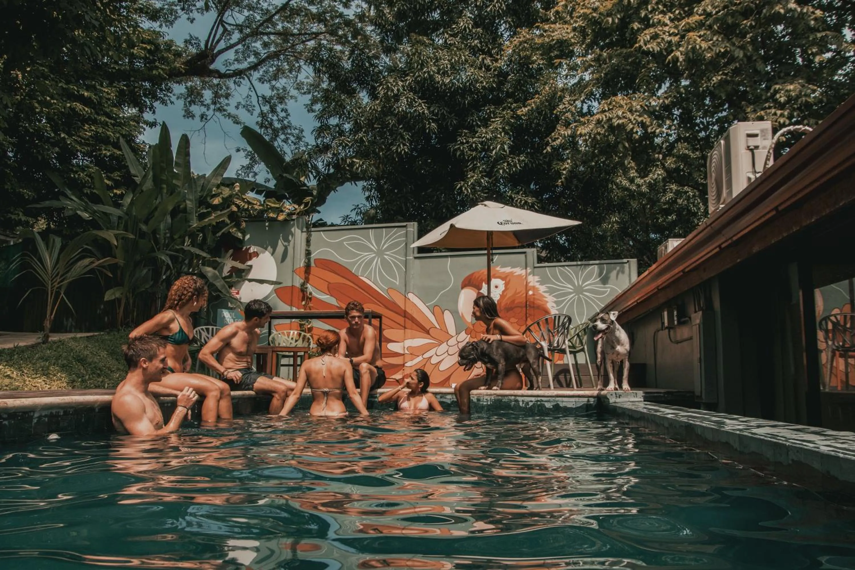 Armonia Santa Teresa