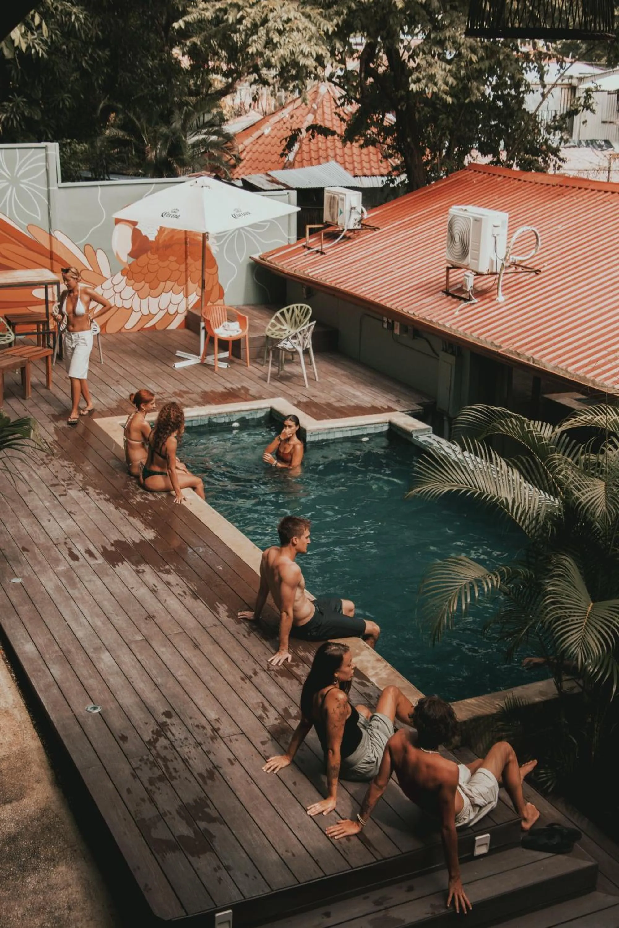 Armonia Santa Teresa