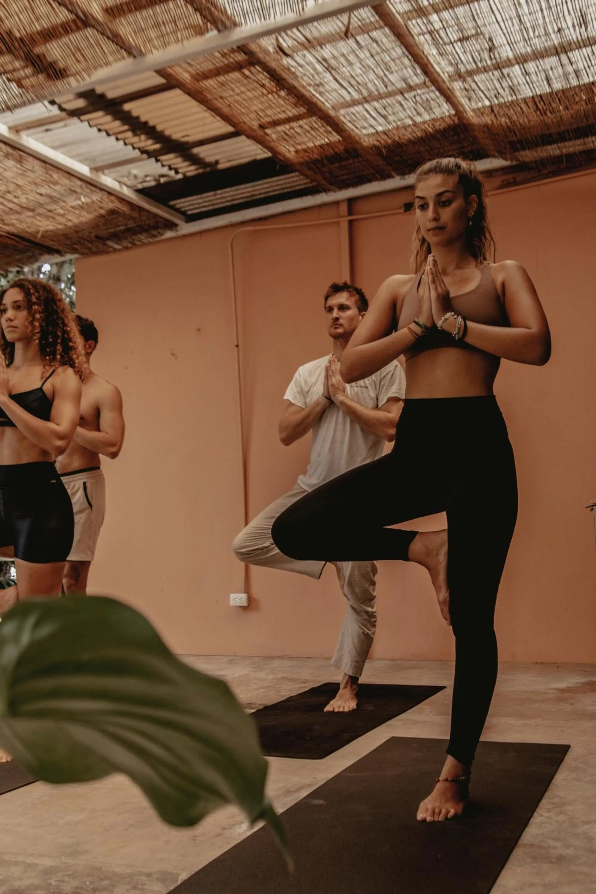 Armonia Santa Teresa