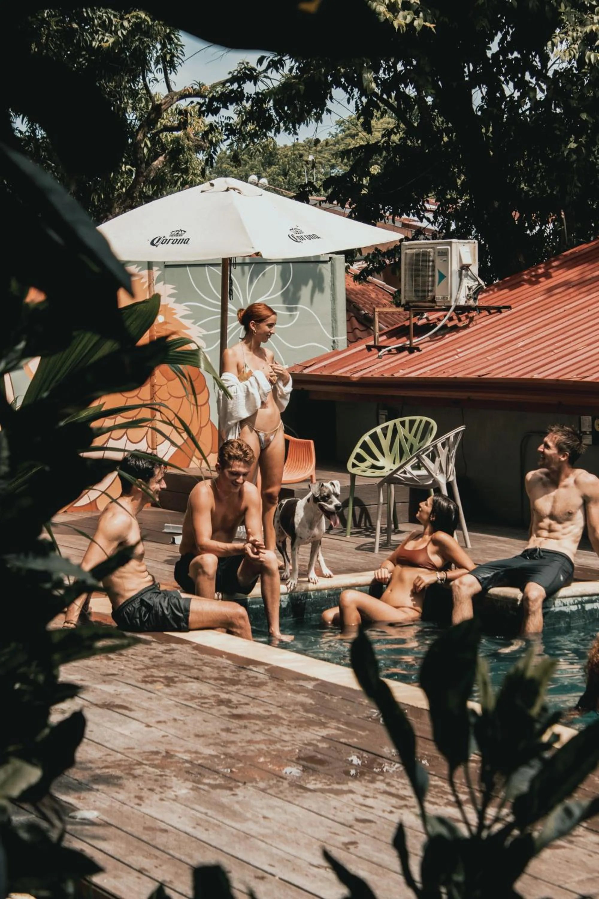 Armonia Santa Teresa