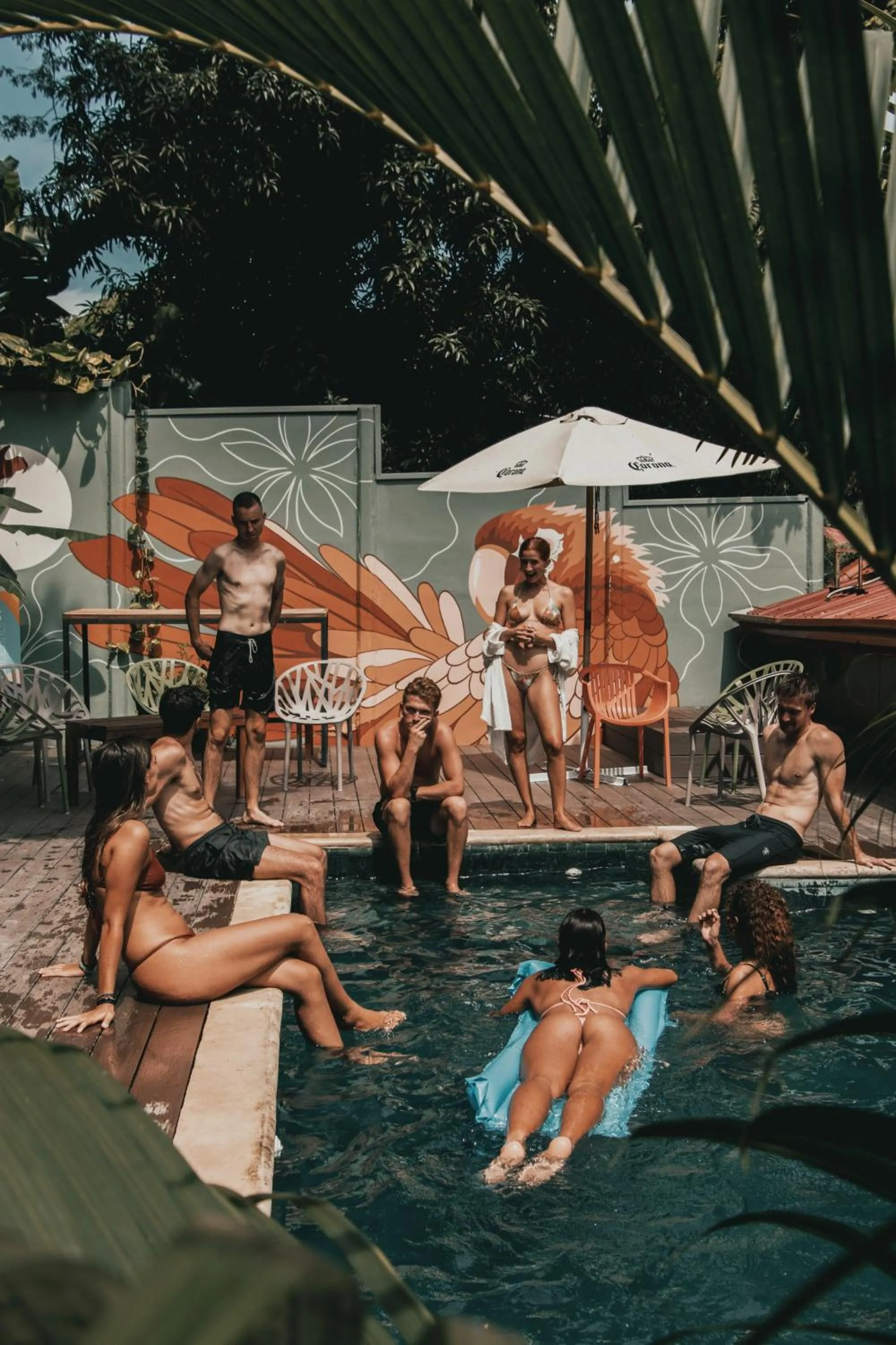 Armonia Santa Teresa