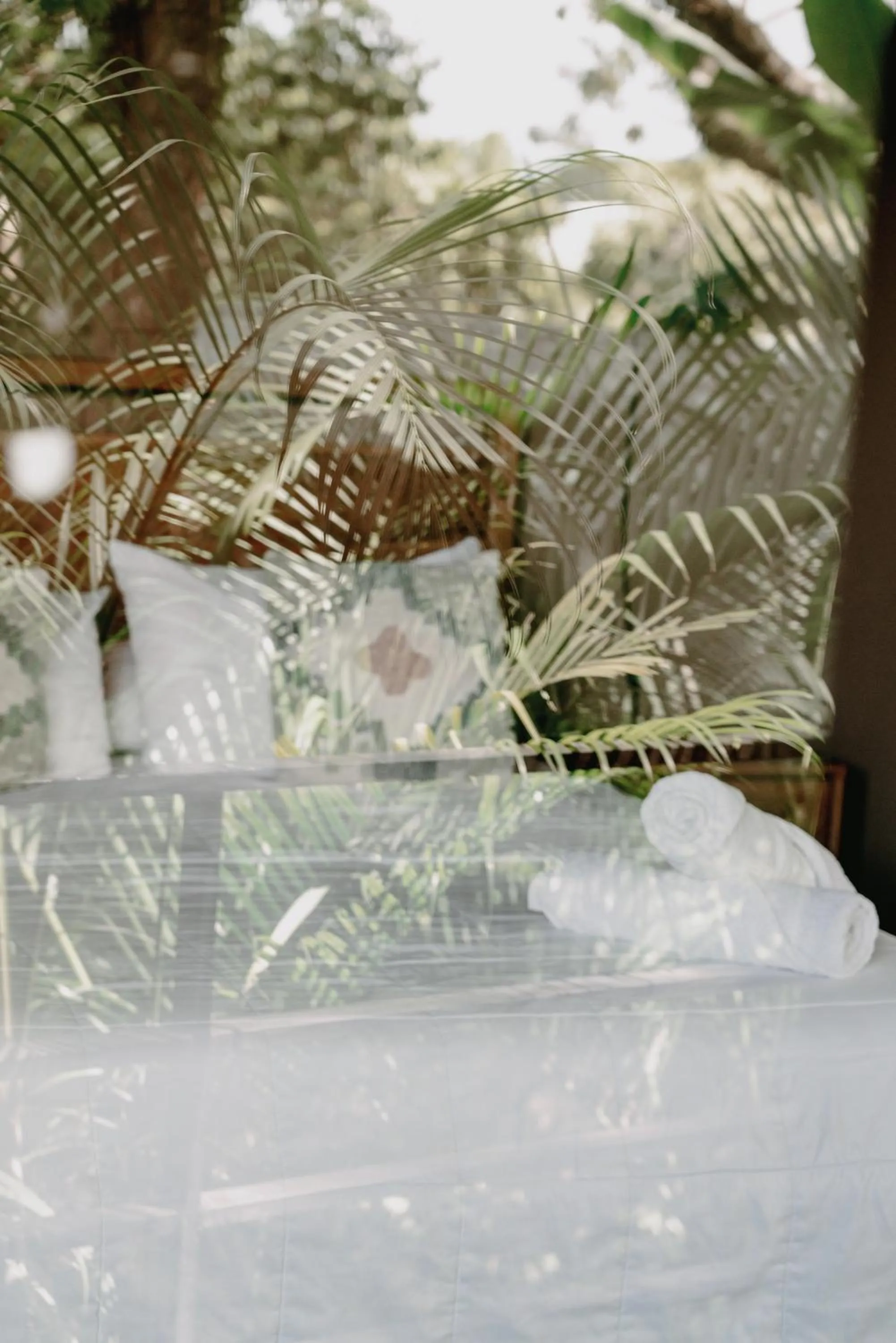 Armonia Santa Teresa