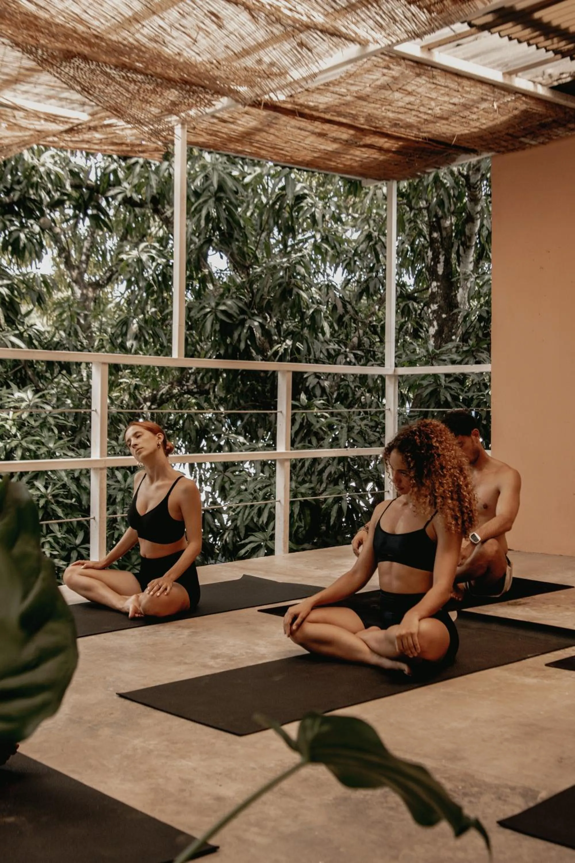 Armonia Santa Teresa