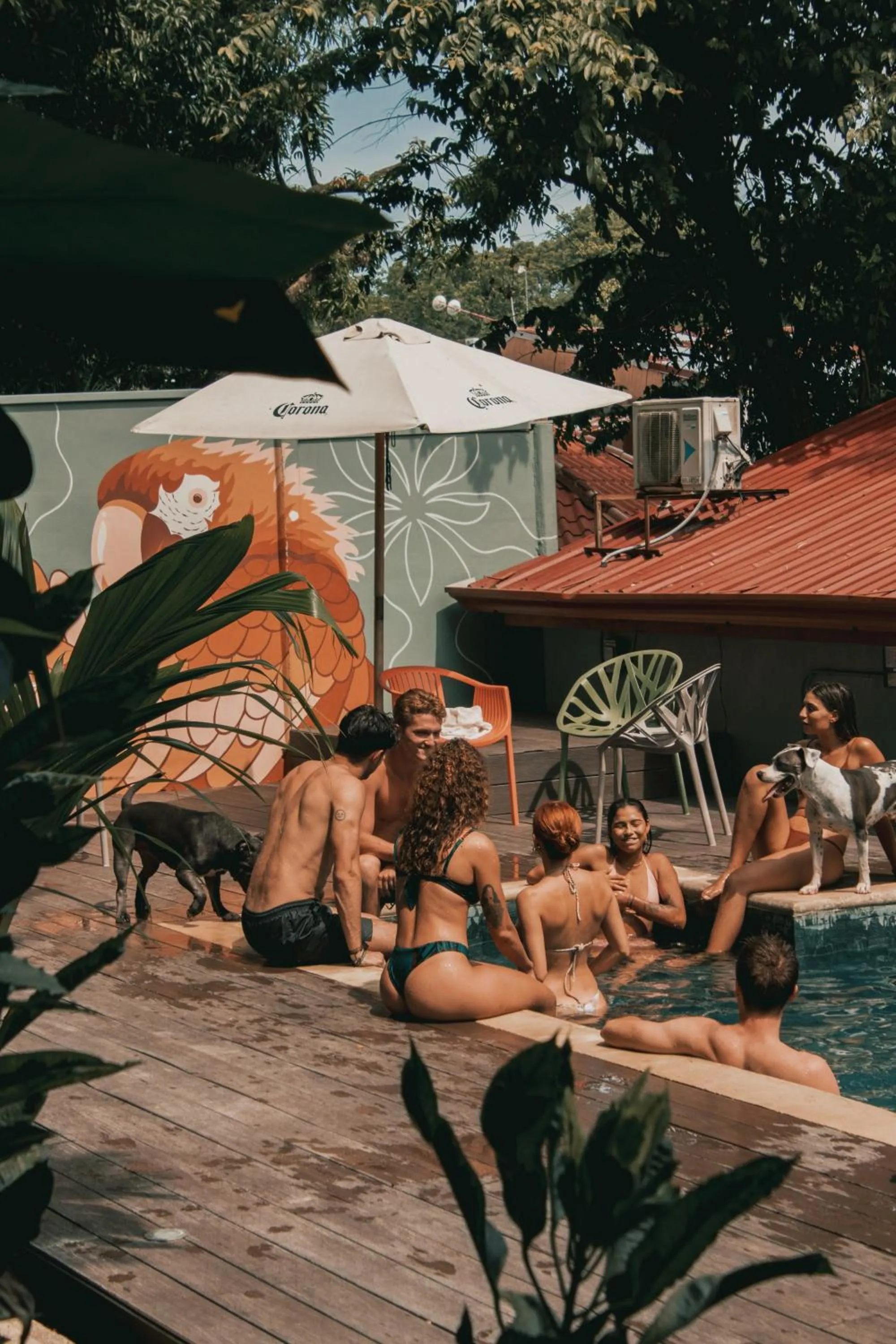 Armonia Santa Teresa