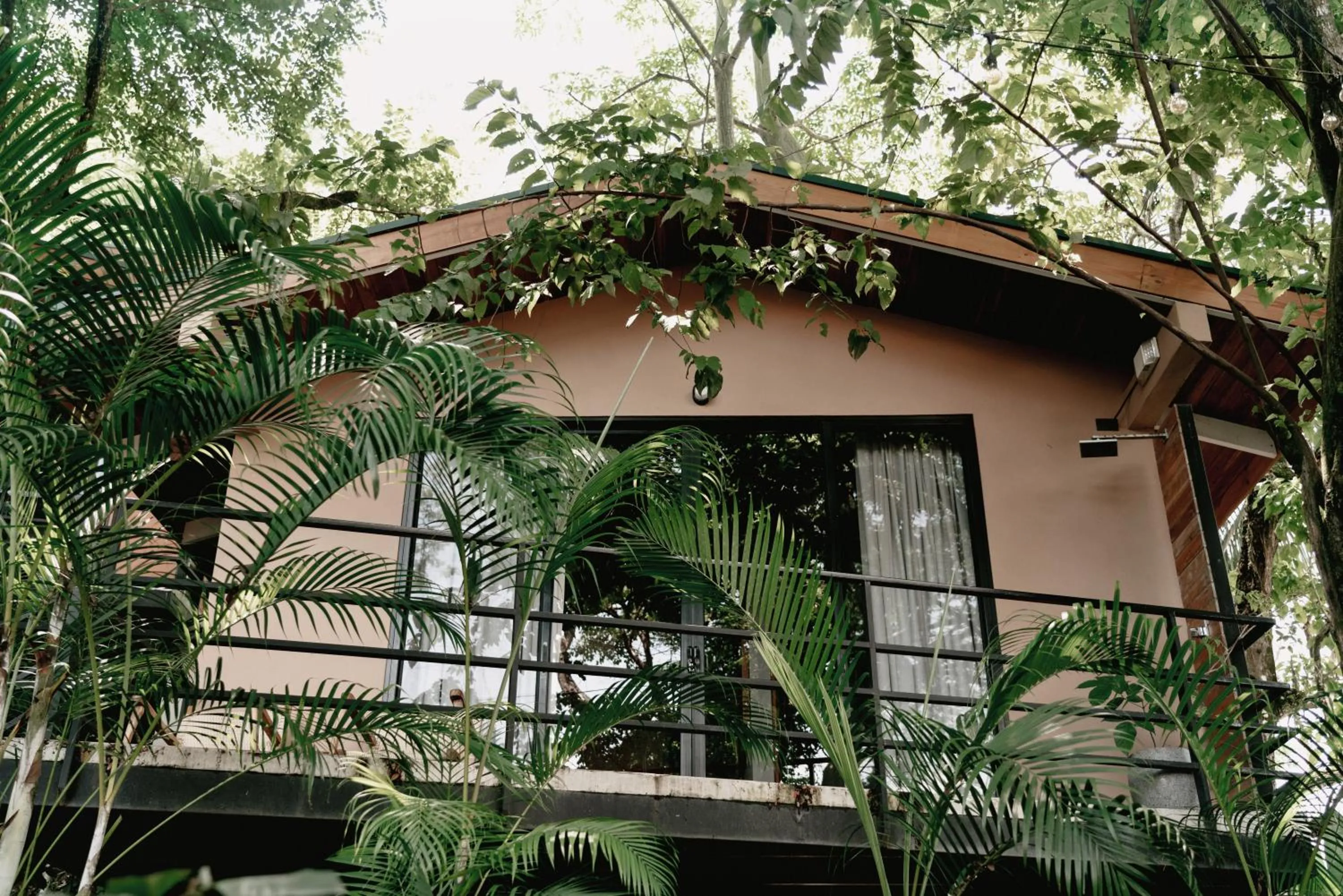 Armonia Santa Teresa