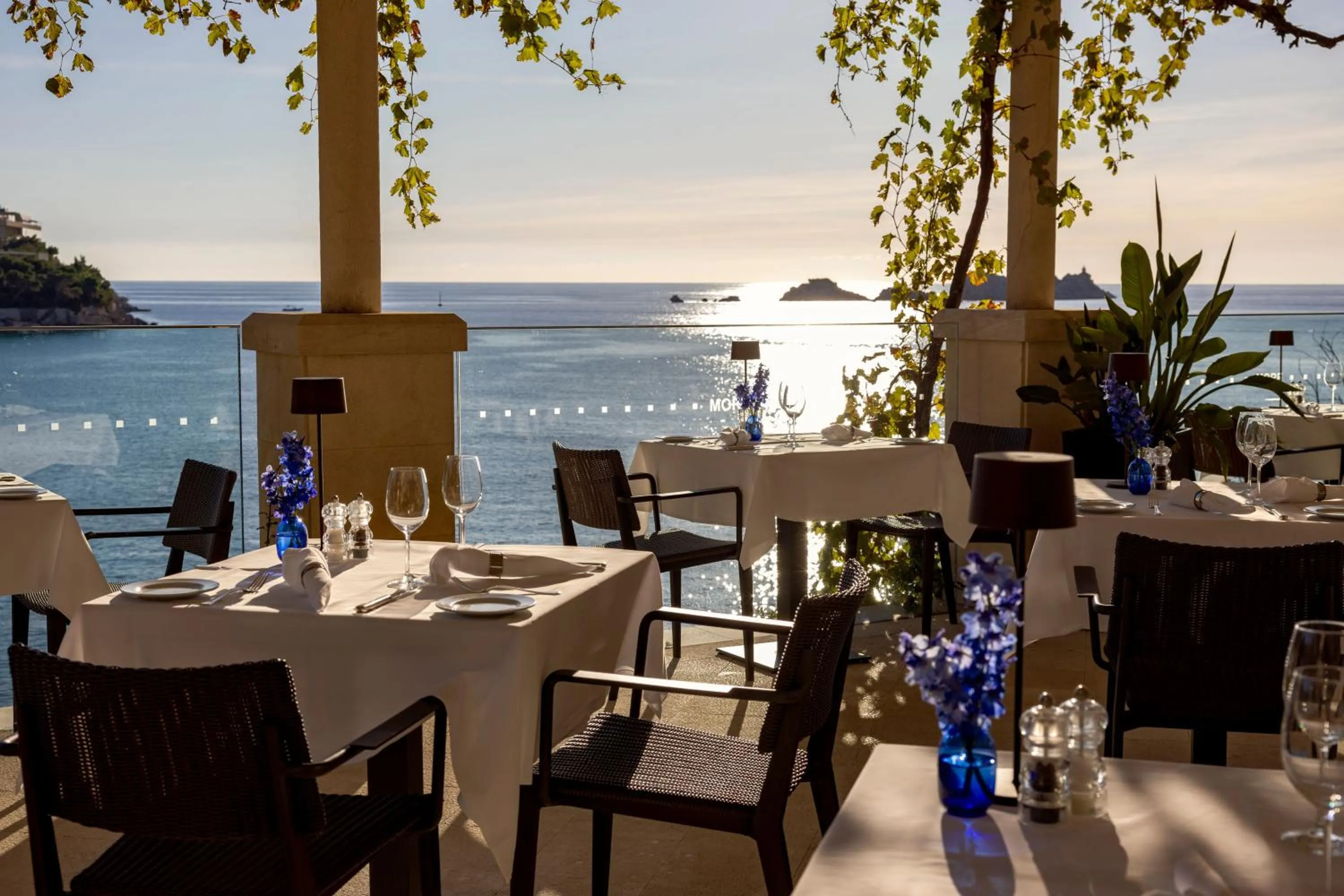 Restaurant/places to eat in Hotel More