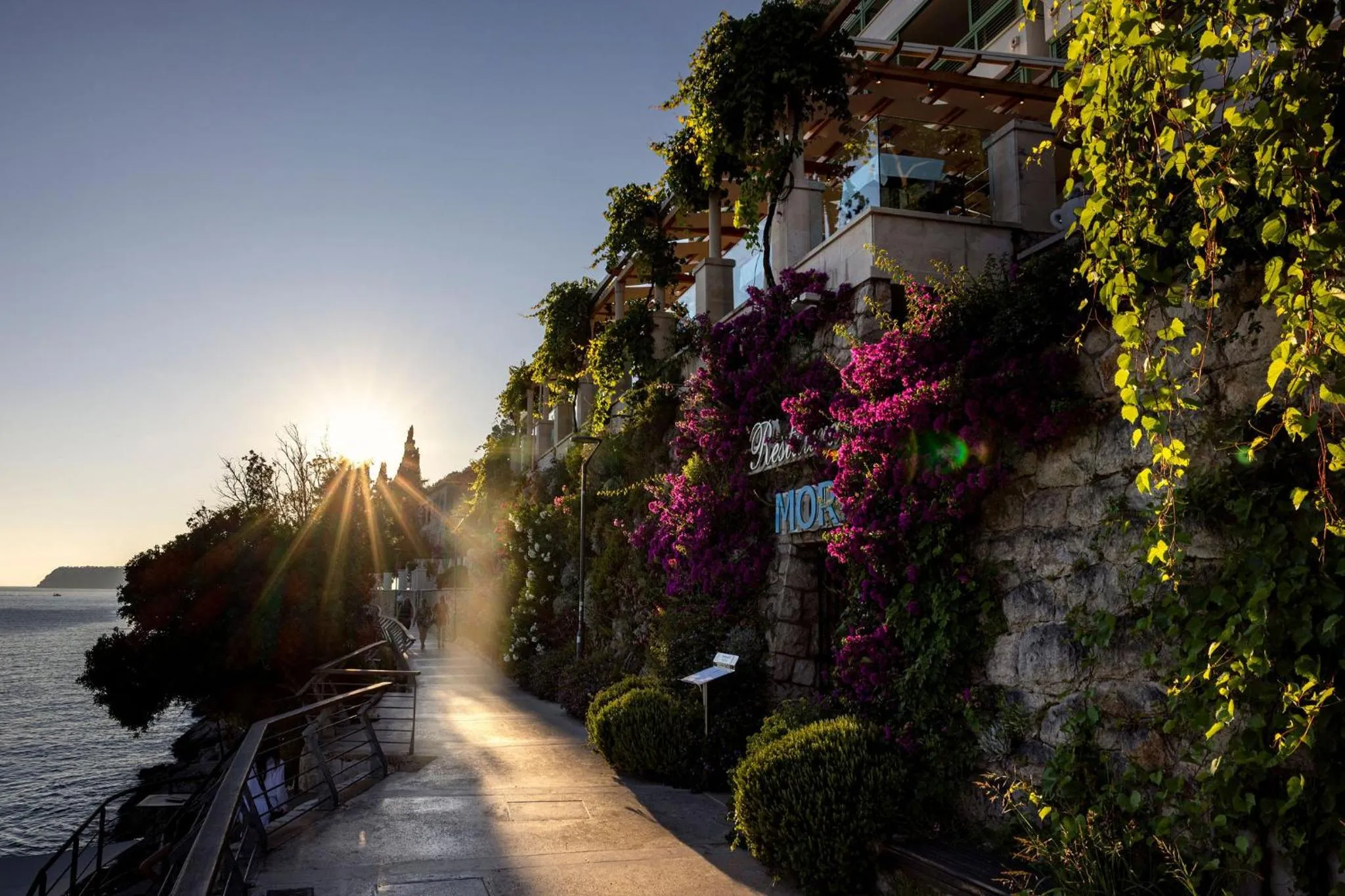 Restaurant/places to eat in Hotel More