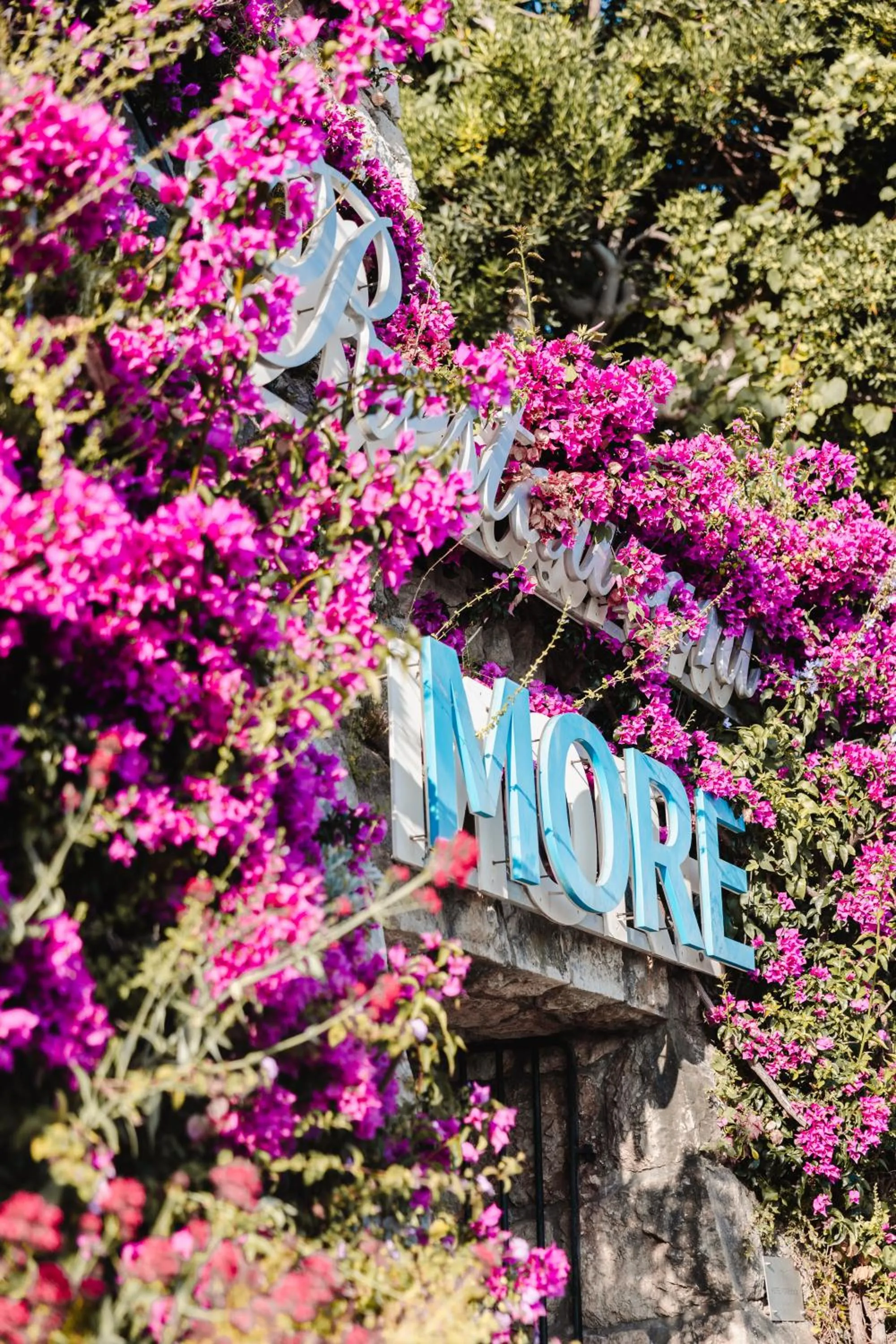 Restaurant/places to eat in Hotel More