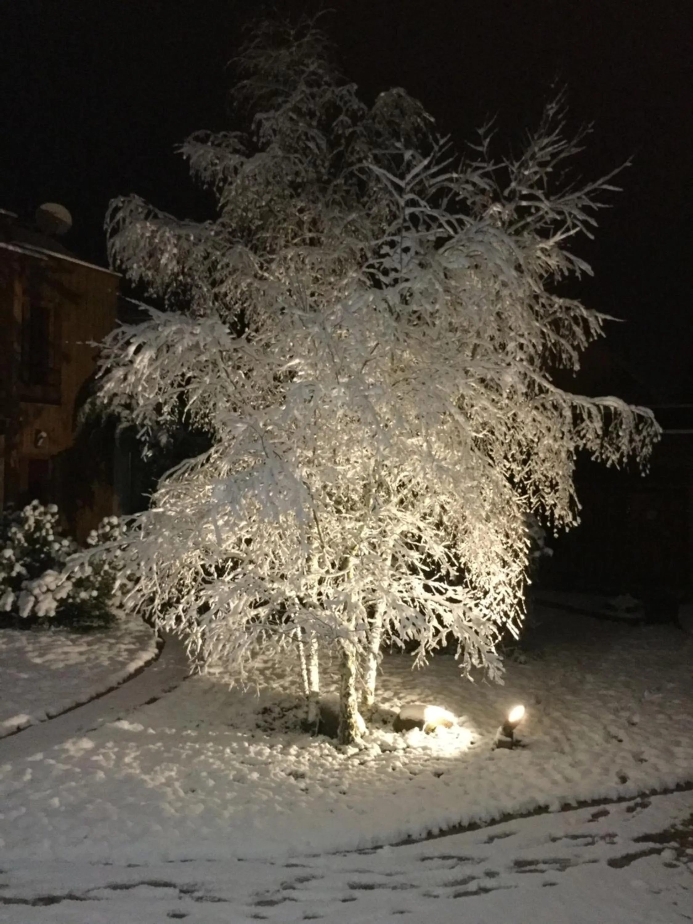 Les Crinieres En Brie