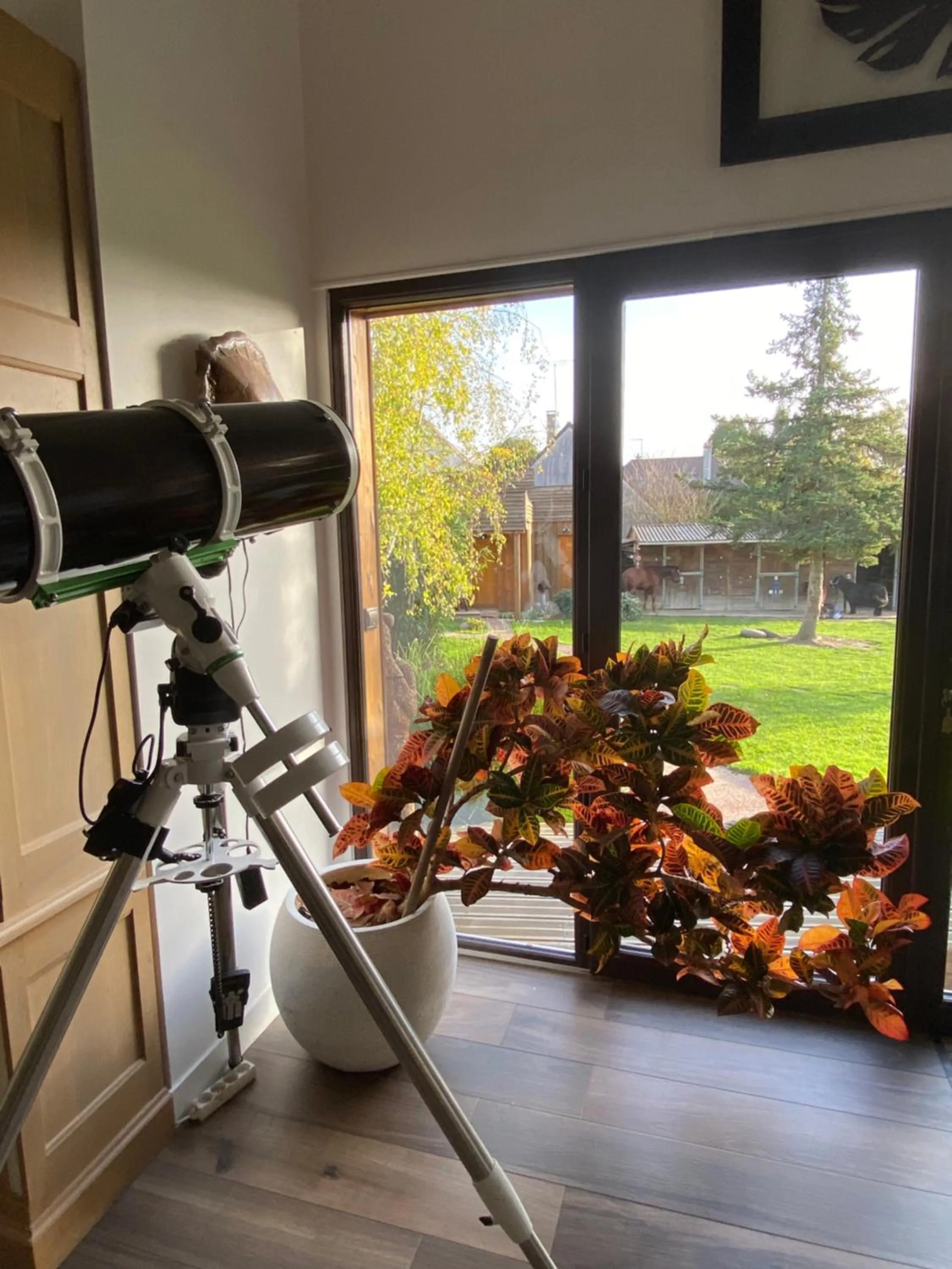 Les Crinieres En Brie