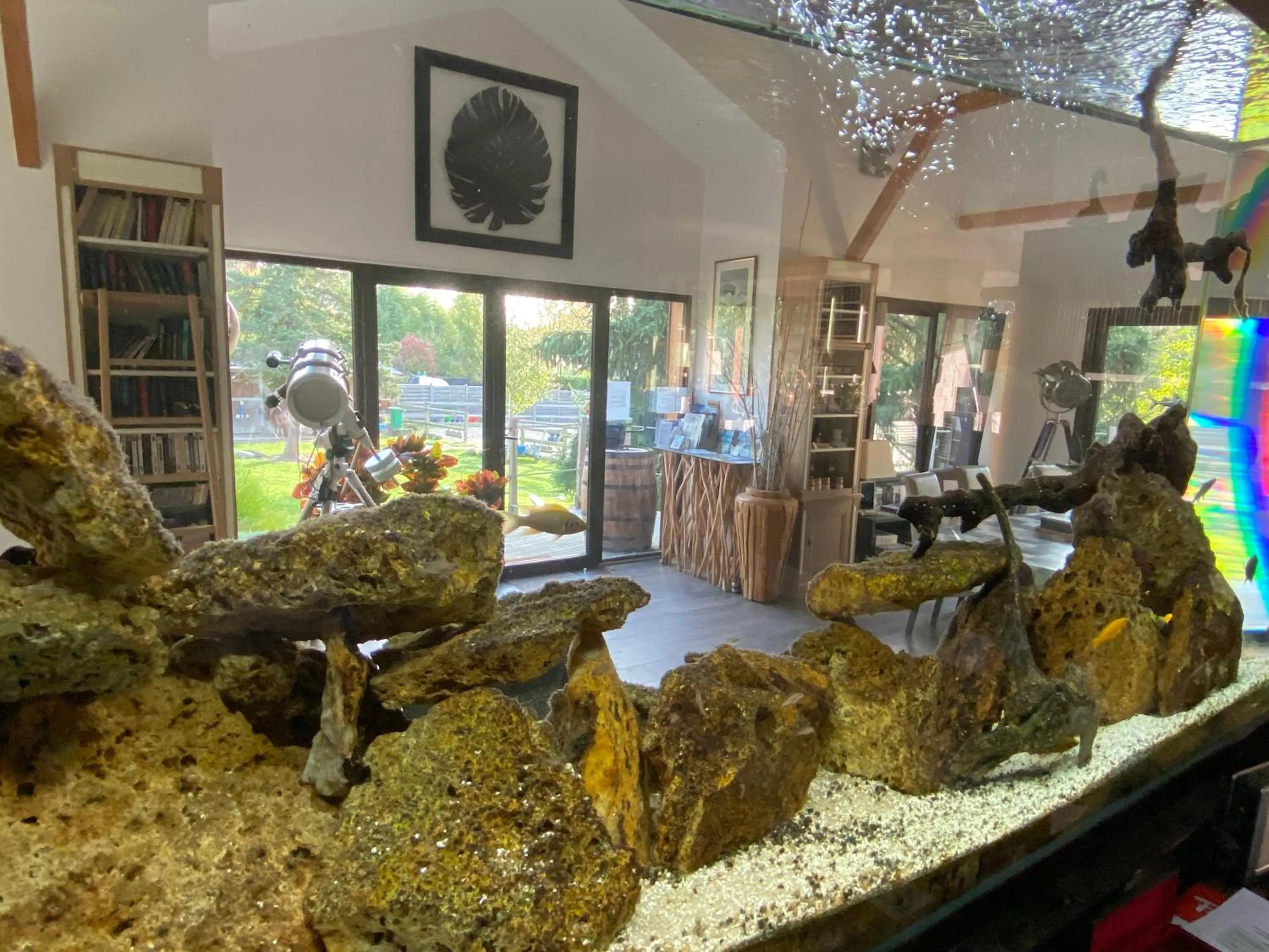 Les Crinieres En Brie