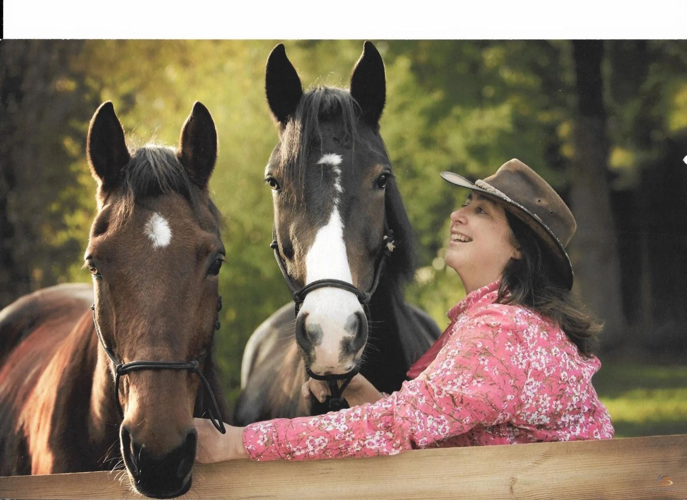 Animals in Les Crinieres En Brie