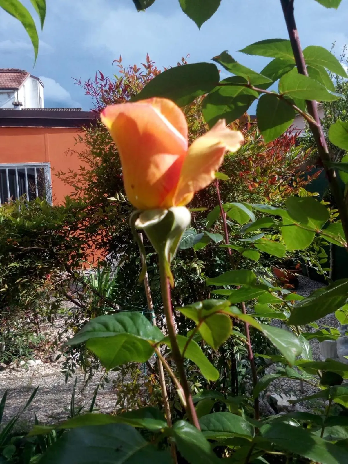 Inner courtyard view in B&B Antica Corte Lombarda
