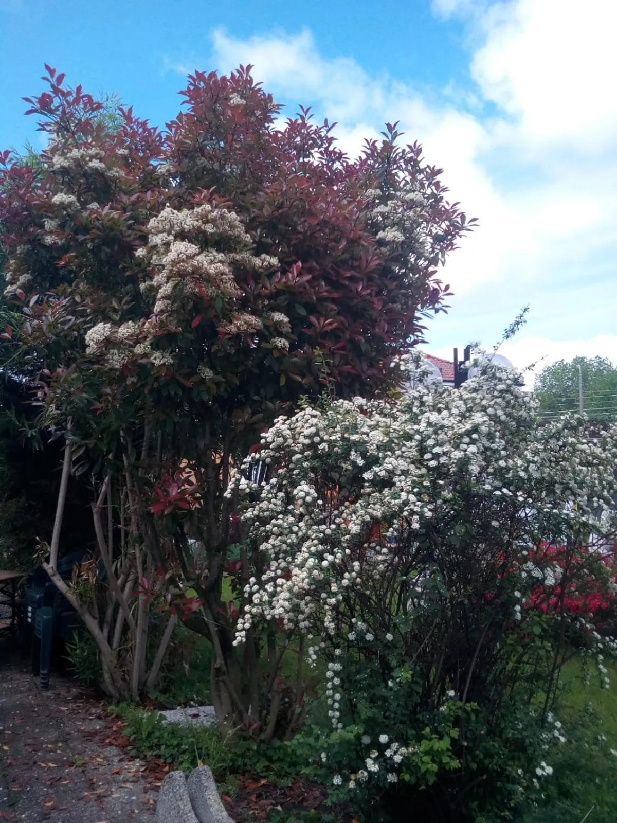 Inner courtyard view in B&B Antica Corte Lombarda