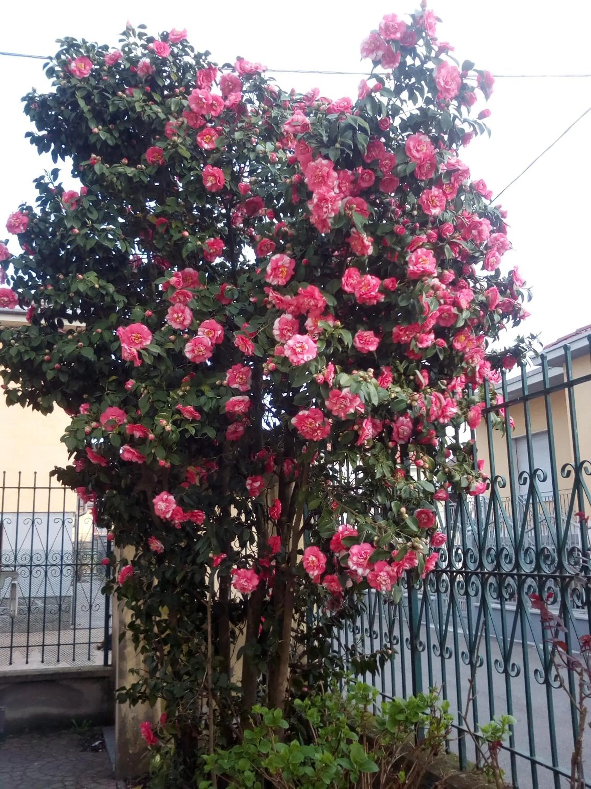 Facade/entrance in B&B Antica Corte Lombarda