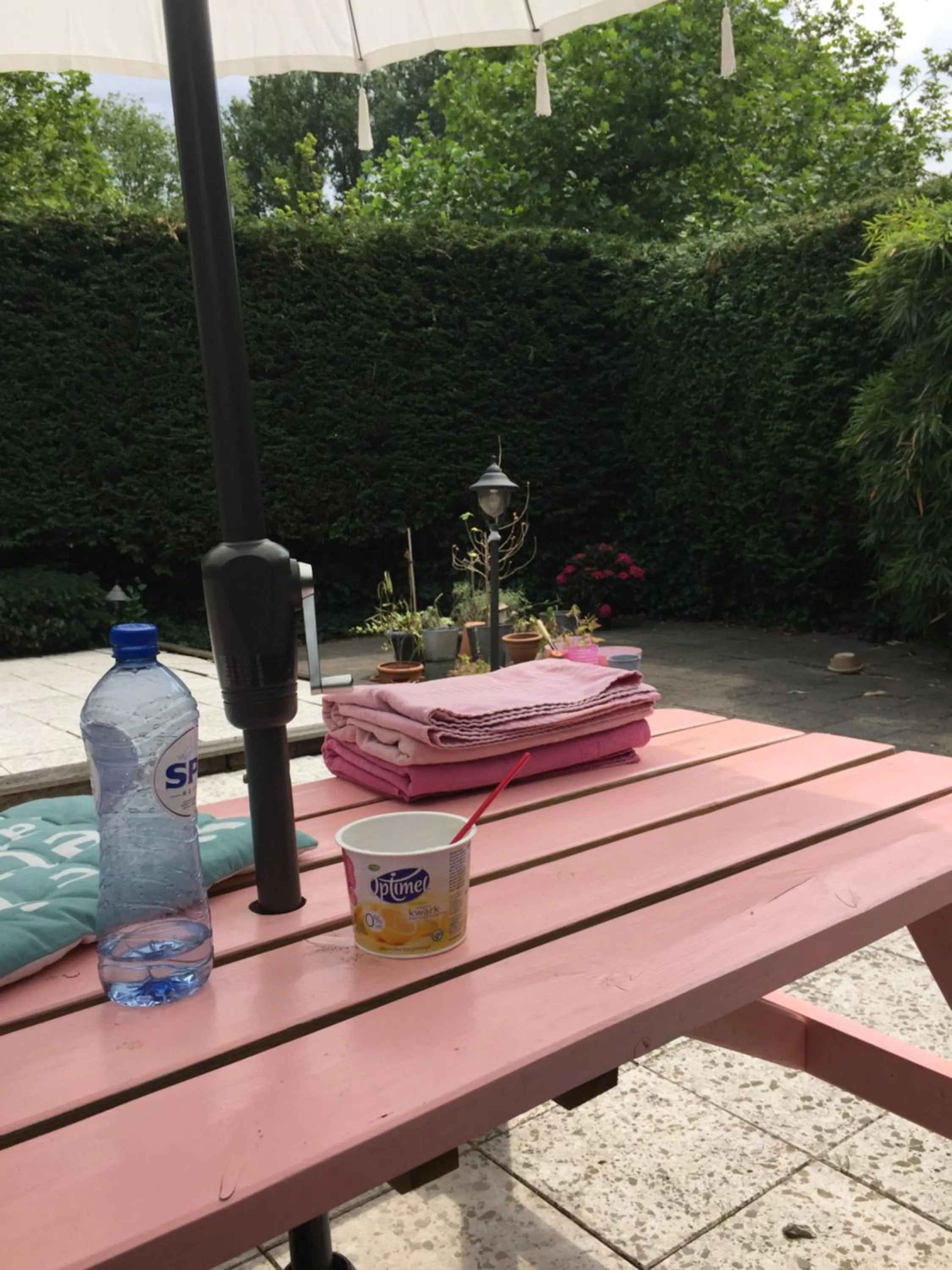 Garden view in B&B Sloterpark