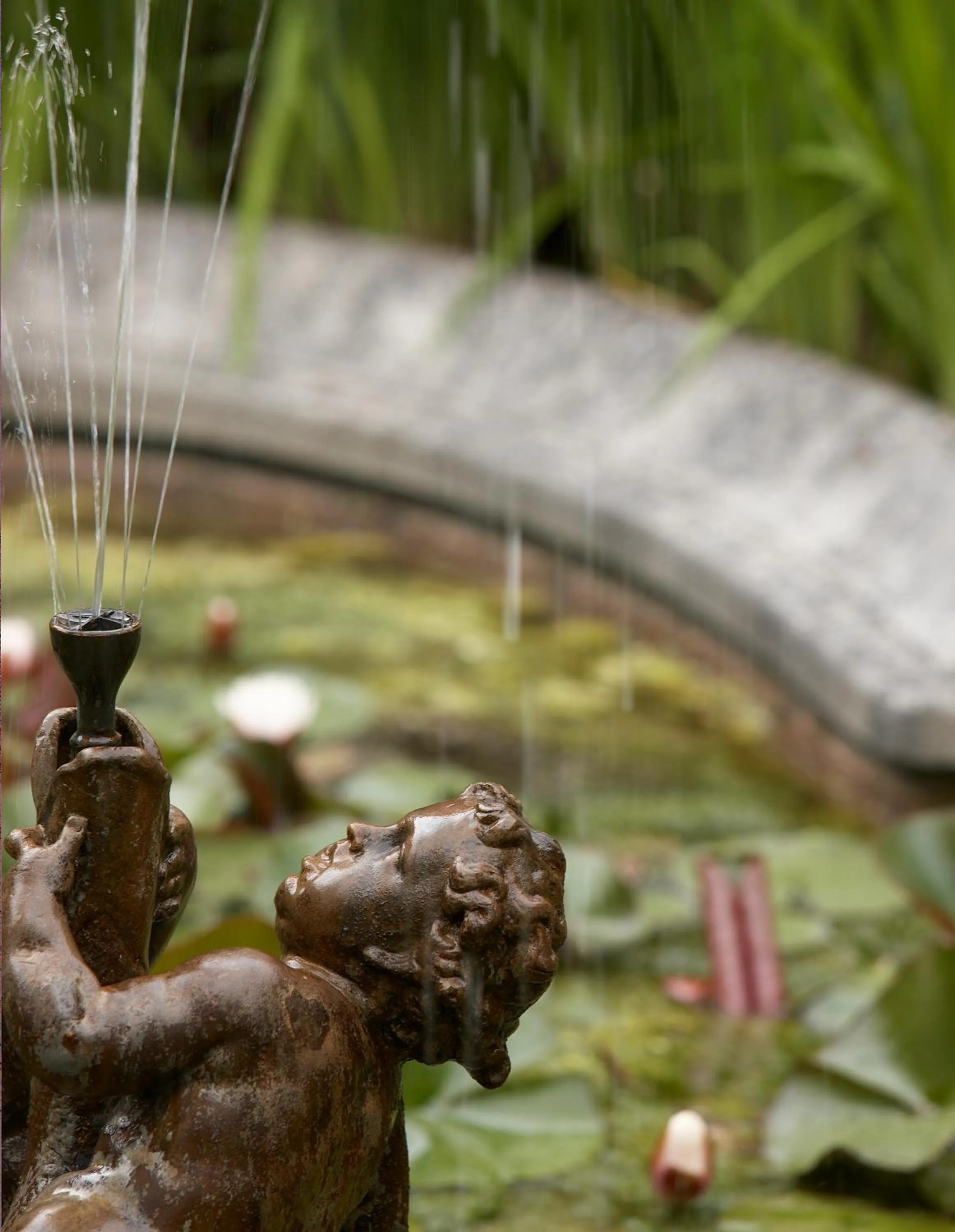 Garden in B&B The Verhaegen