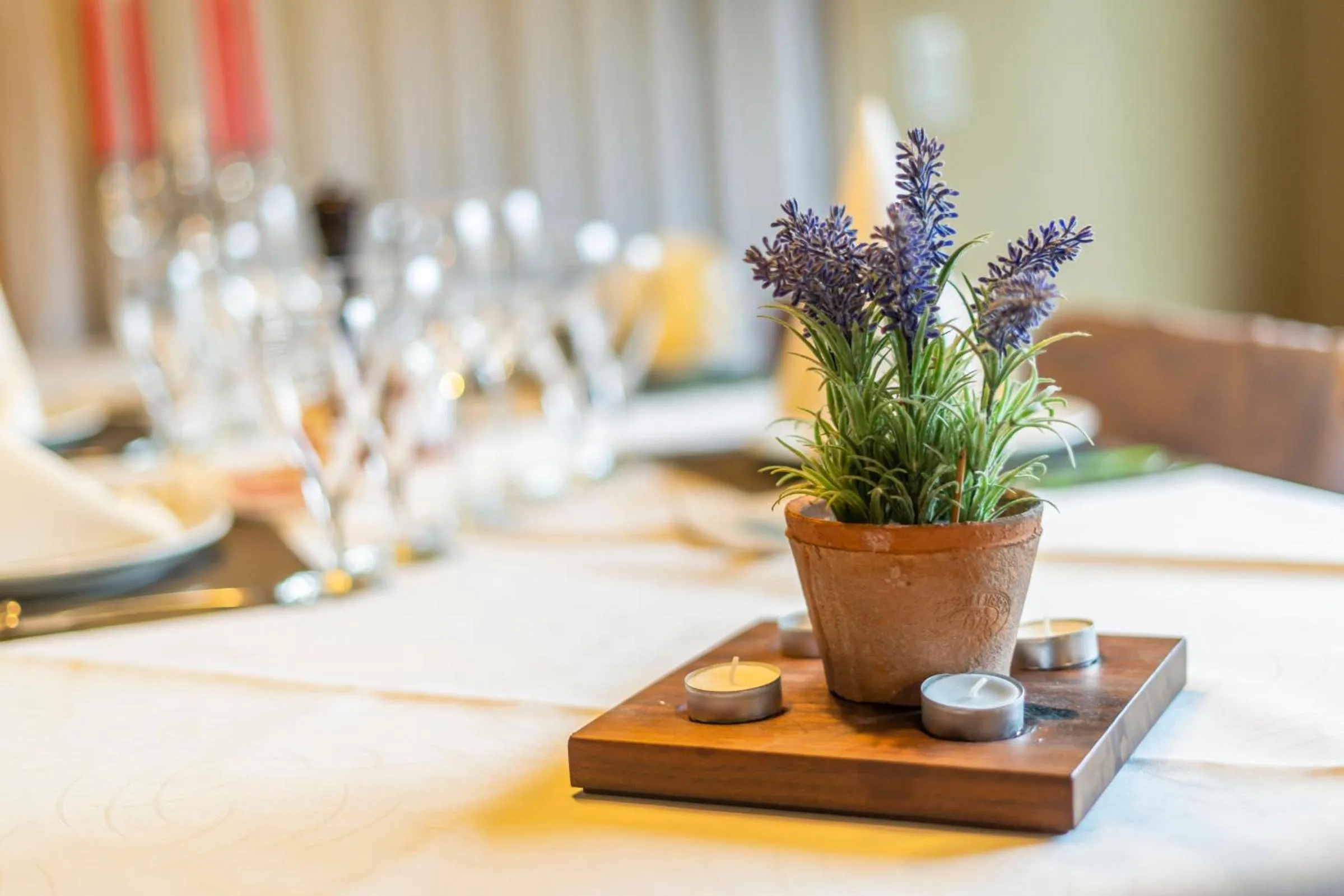 Food and drinks in Elckerlyck Inn Hotel