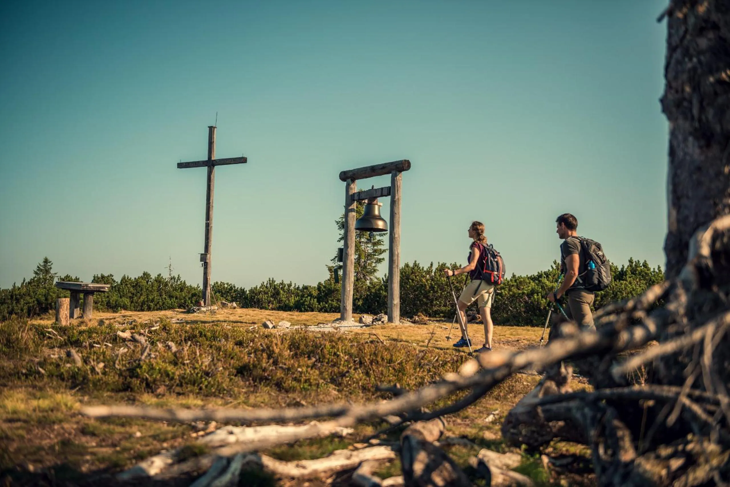 Hiking in ride & relax Aparthotel Schwarz