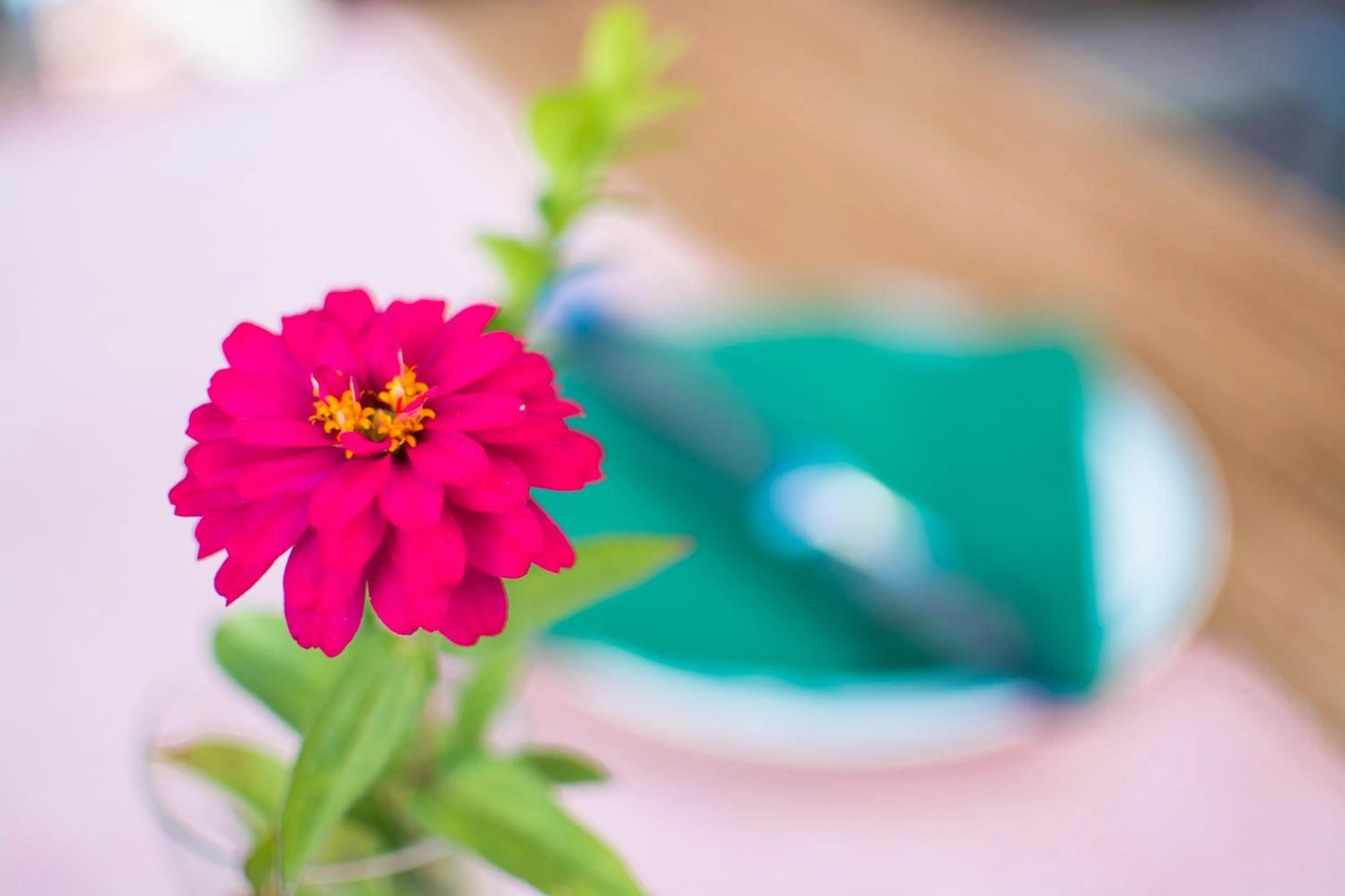 Decorative detail in ride & relax Aparthotel Schwarz