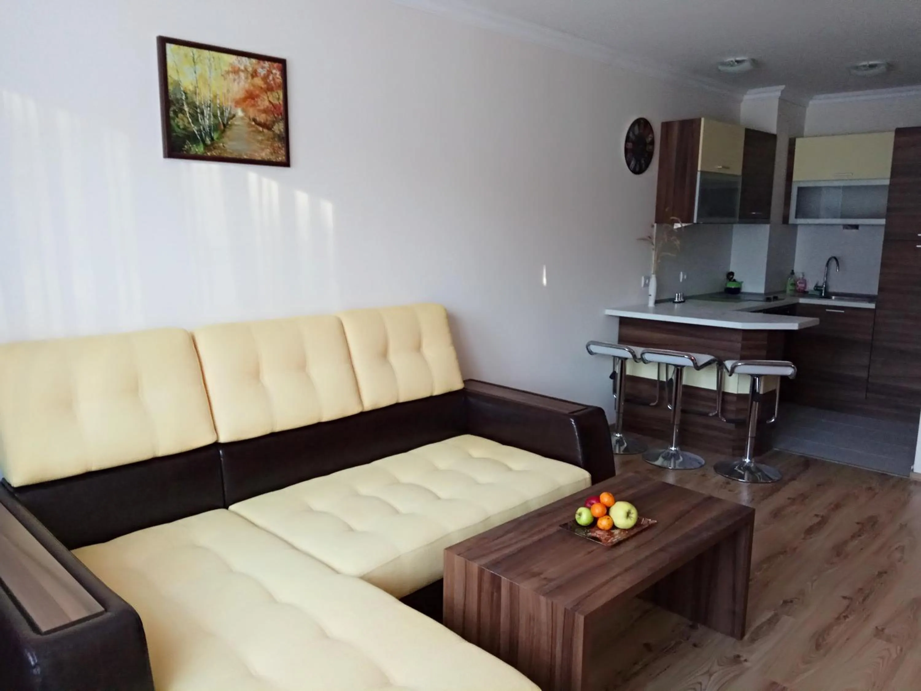 Living room in Denitsa Apartment
