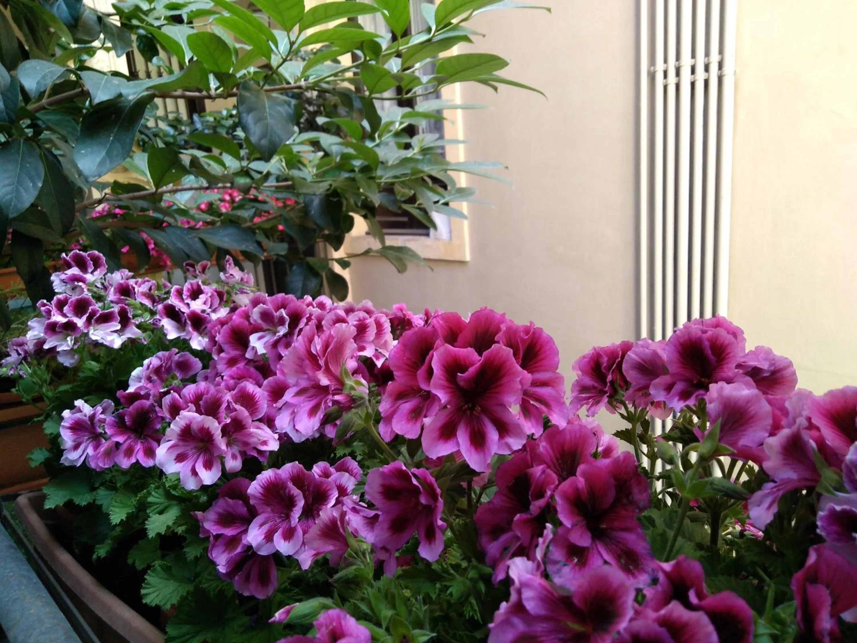 Balcony/Terrace in House Vintage