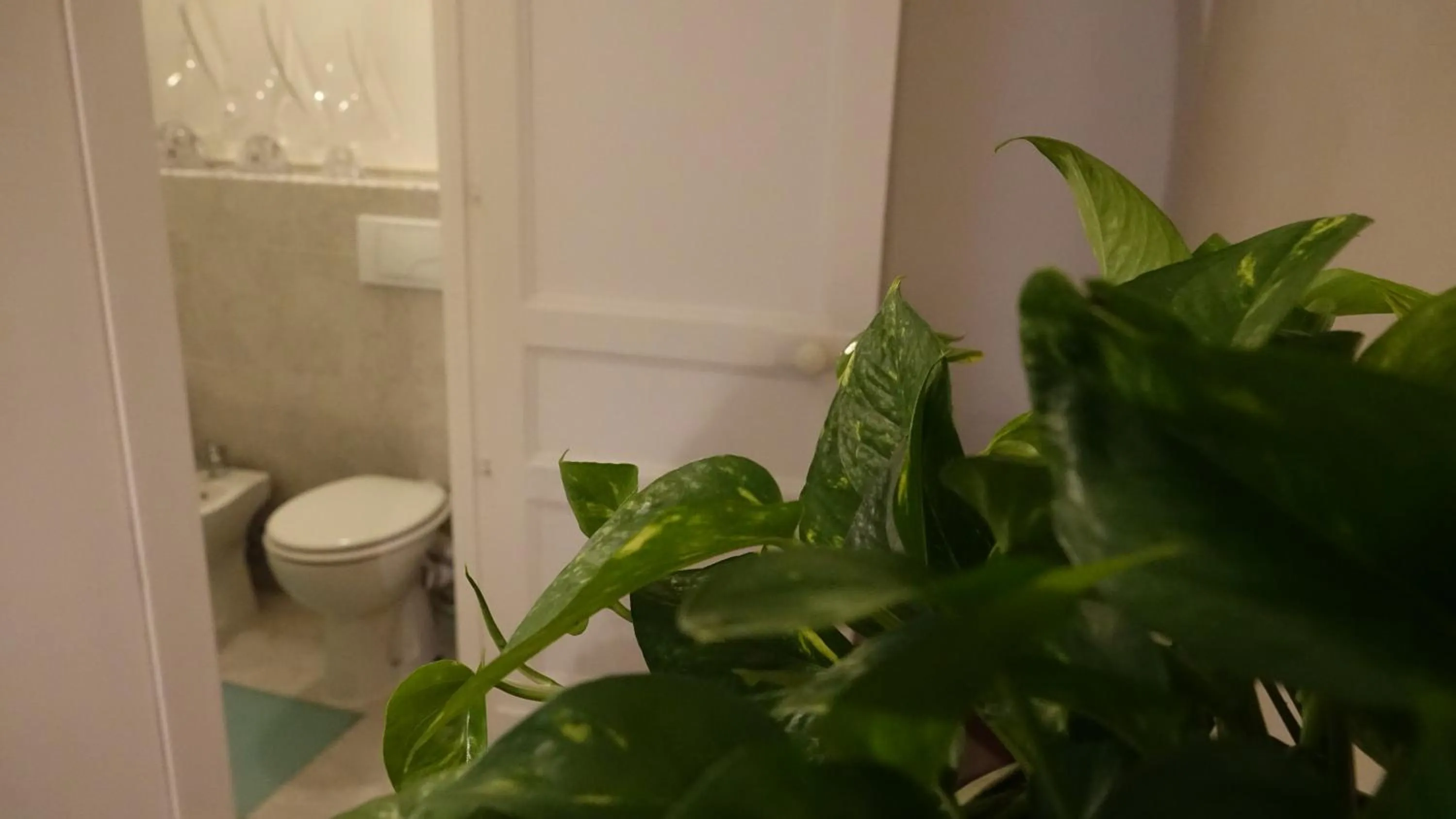 Decorative detail in House Vintage