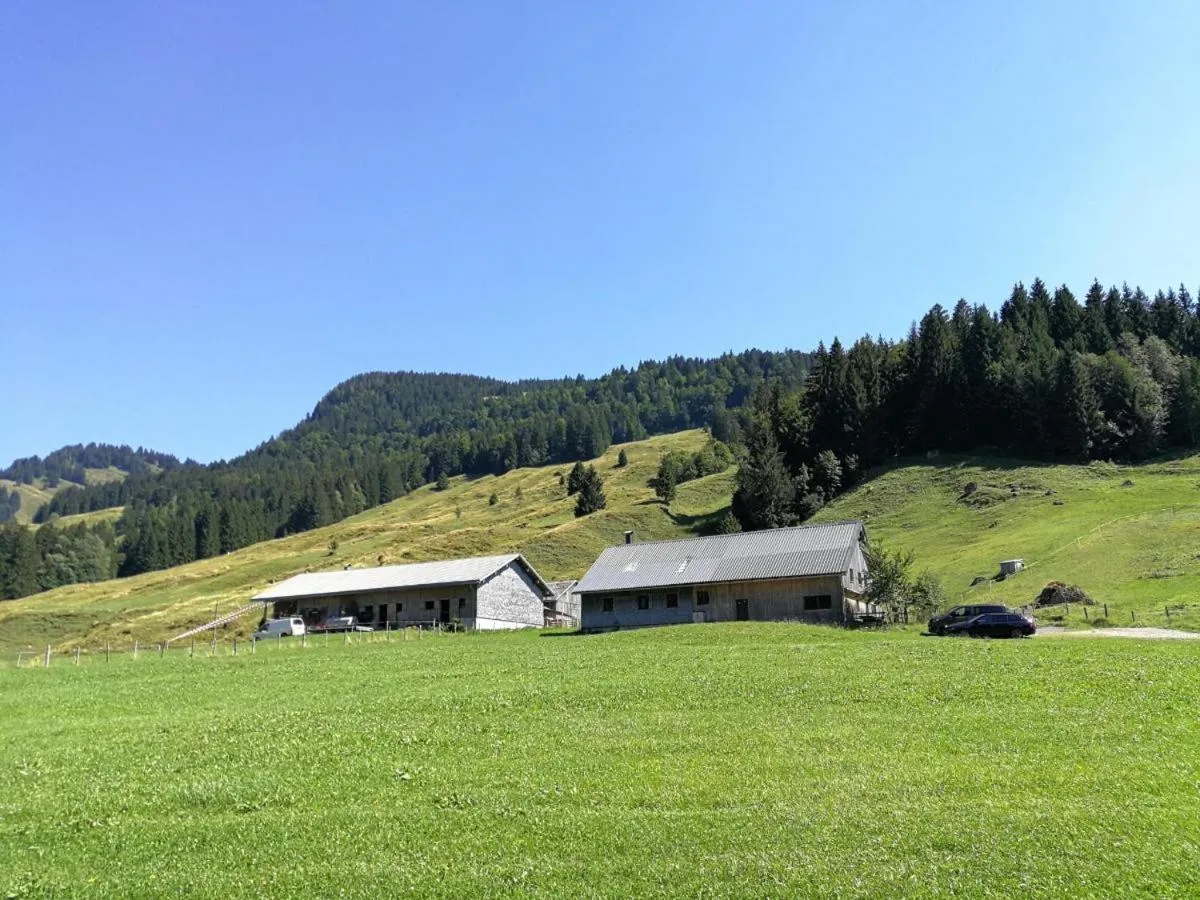 Area and facilities in Ferienhütte Kälberweide