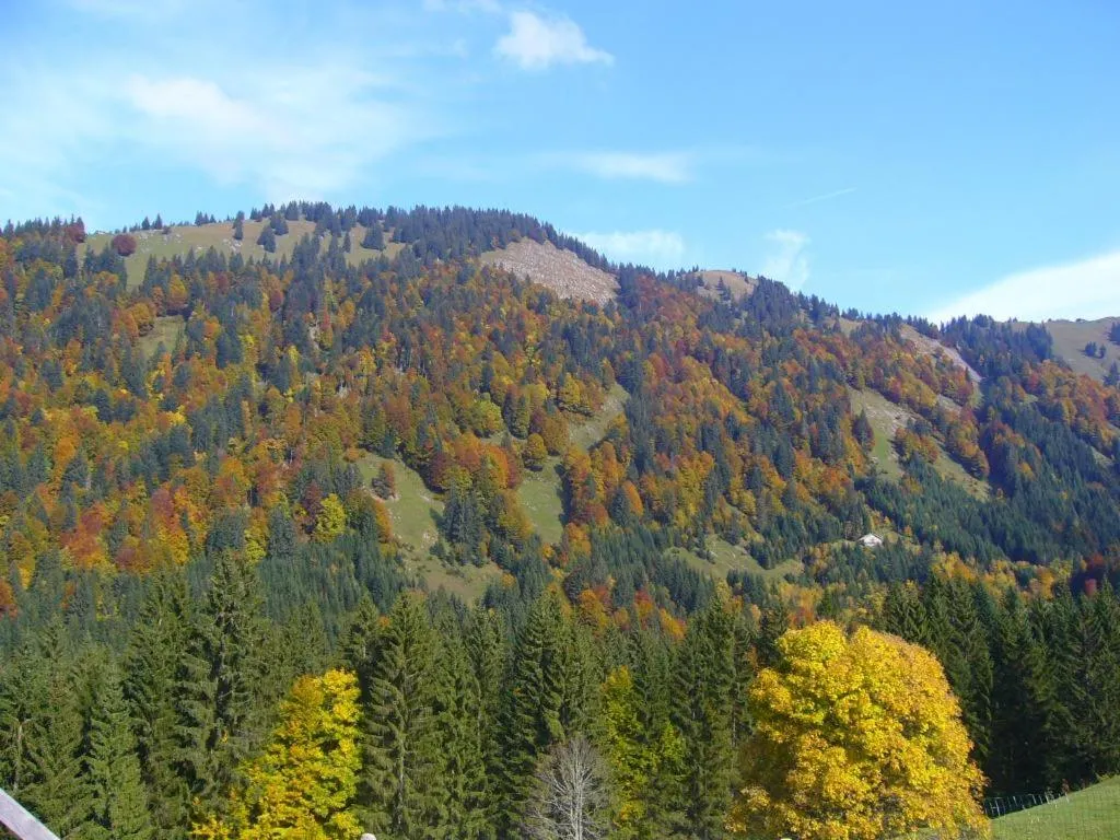 Natural landscape in Ferienhütte Kälberweide