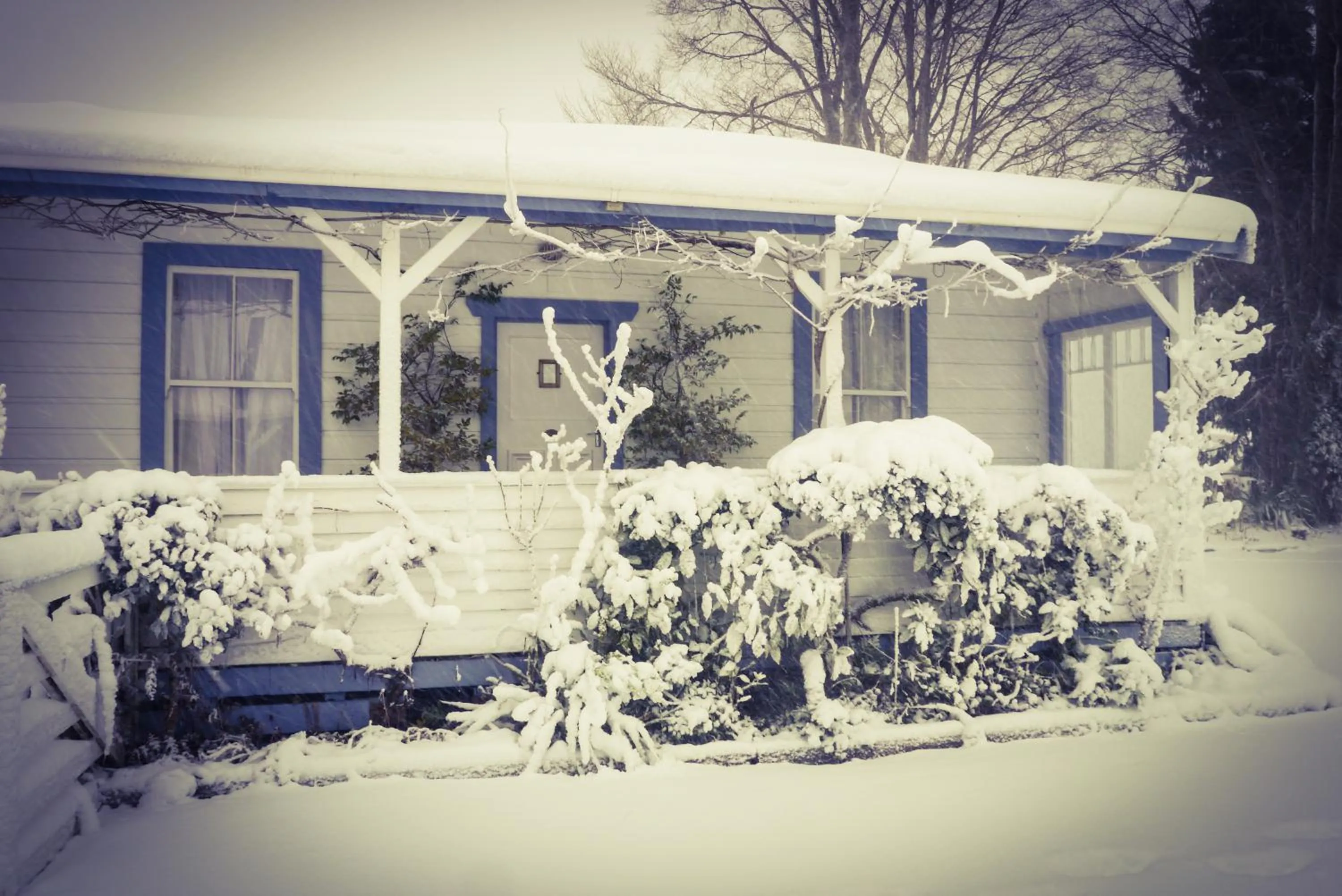 Property building in Tongariro Crossing Lodge