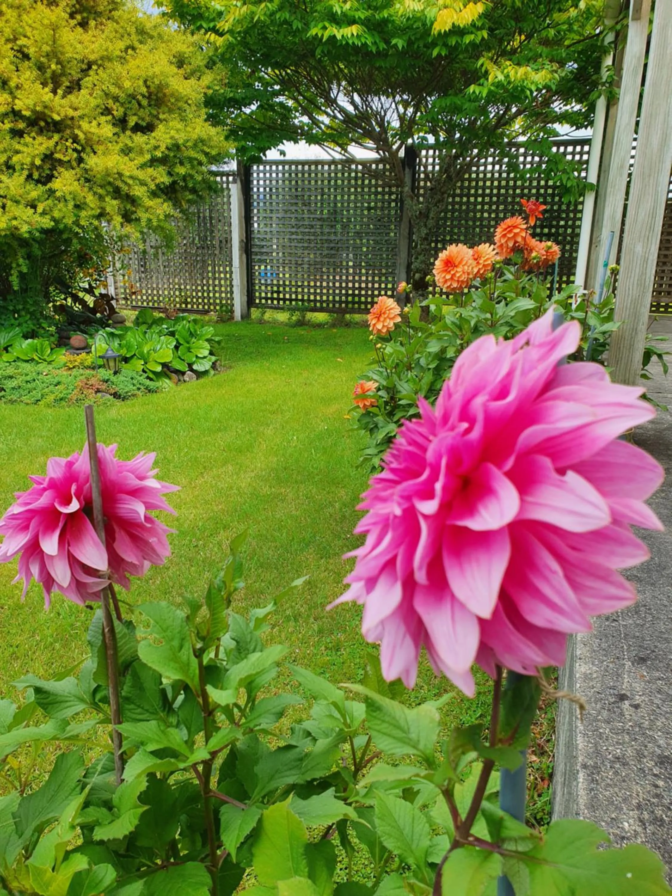 Garden in Tongariro Crossing Lodge