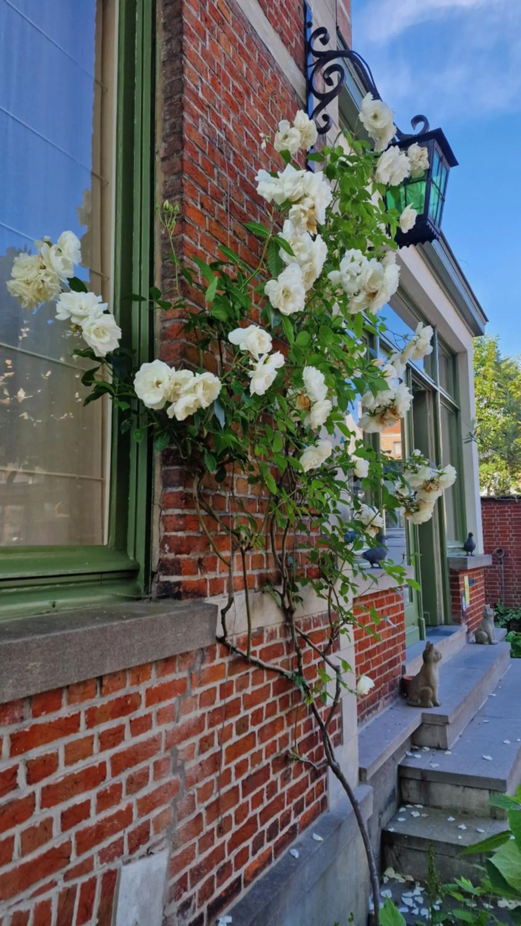 Property building in B&B Fine Fleur