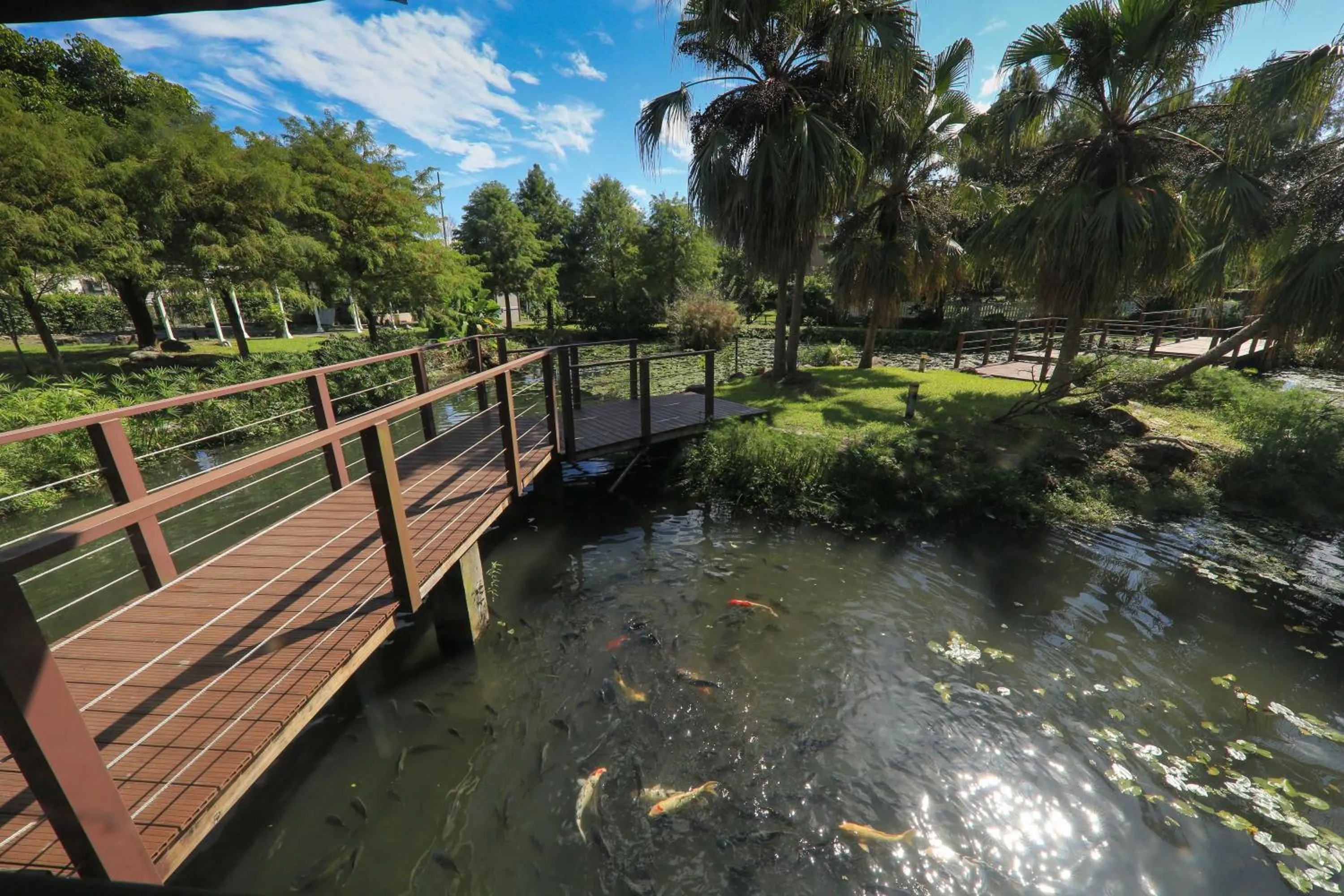 Day in The House of Water