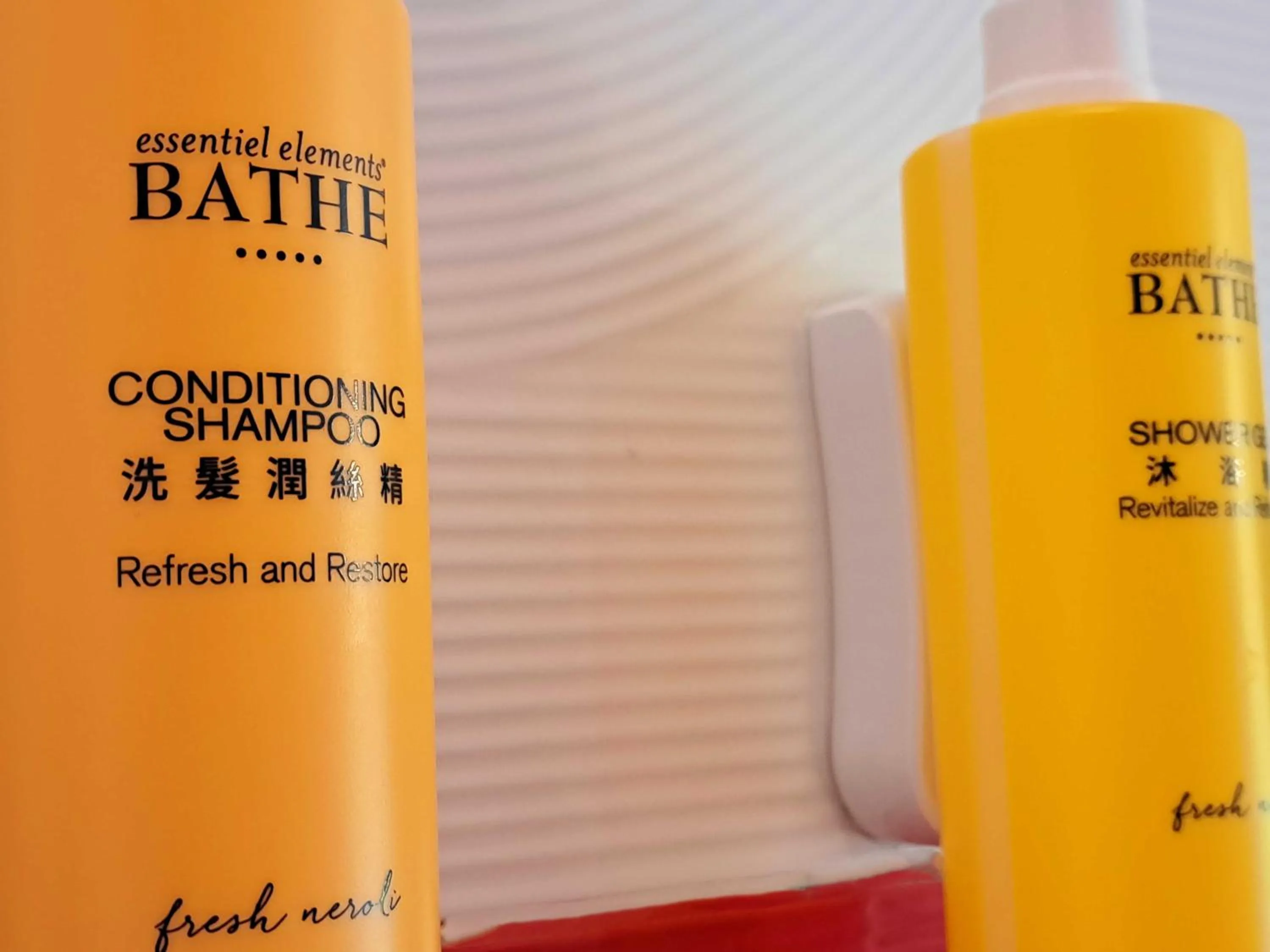 Bathroom in The House of Water