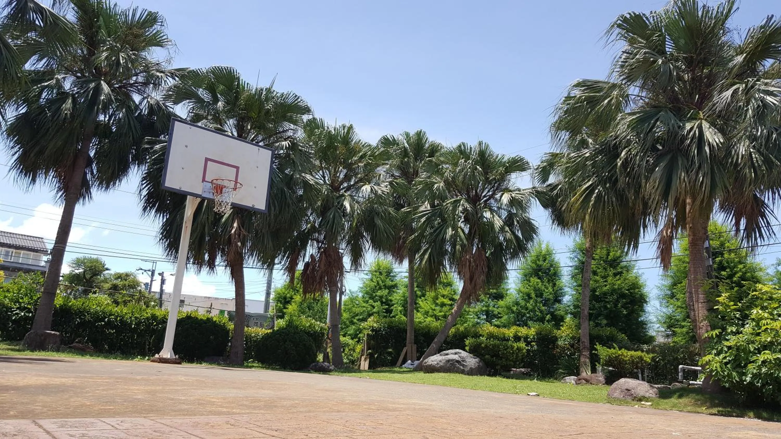 Day in The House of Water