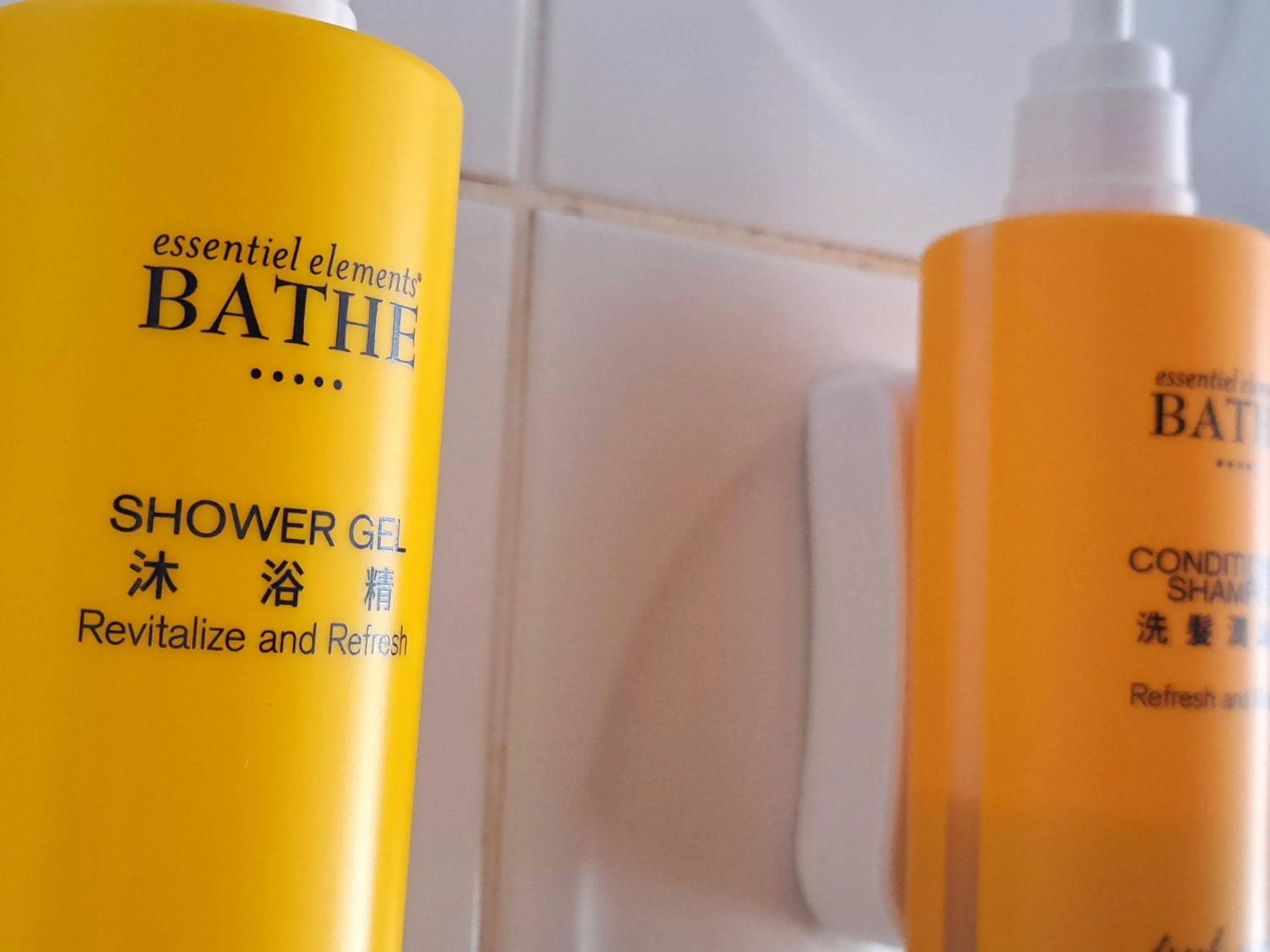 Bathroom in The House of Water