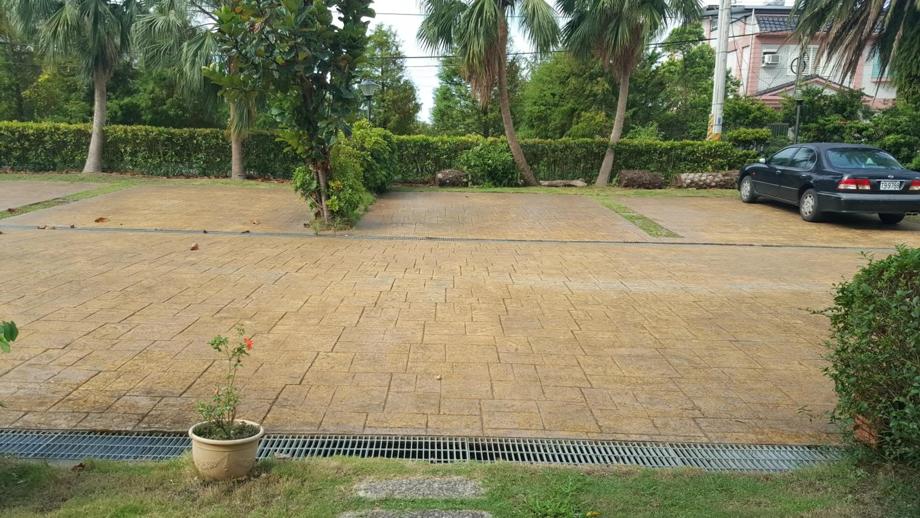 Day in The House of Water