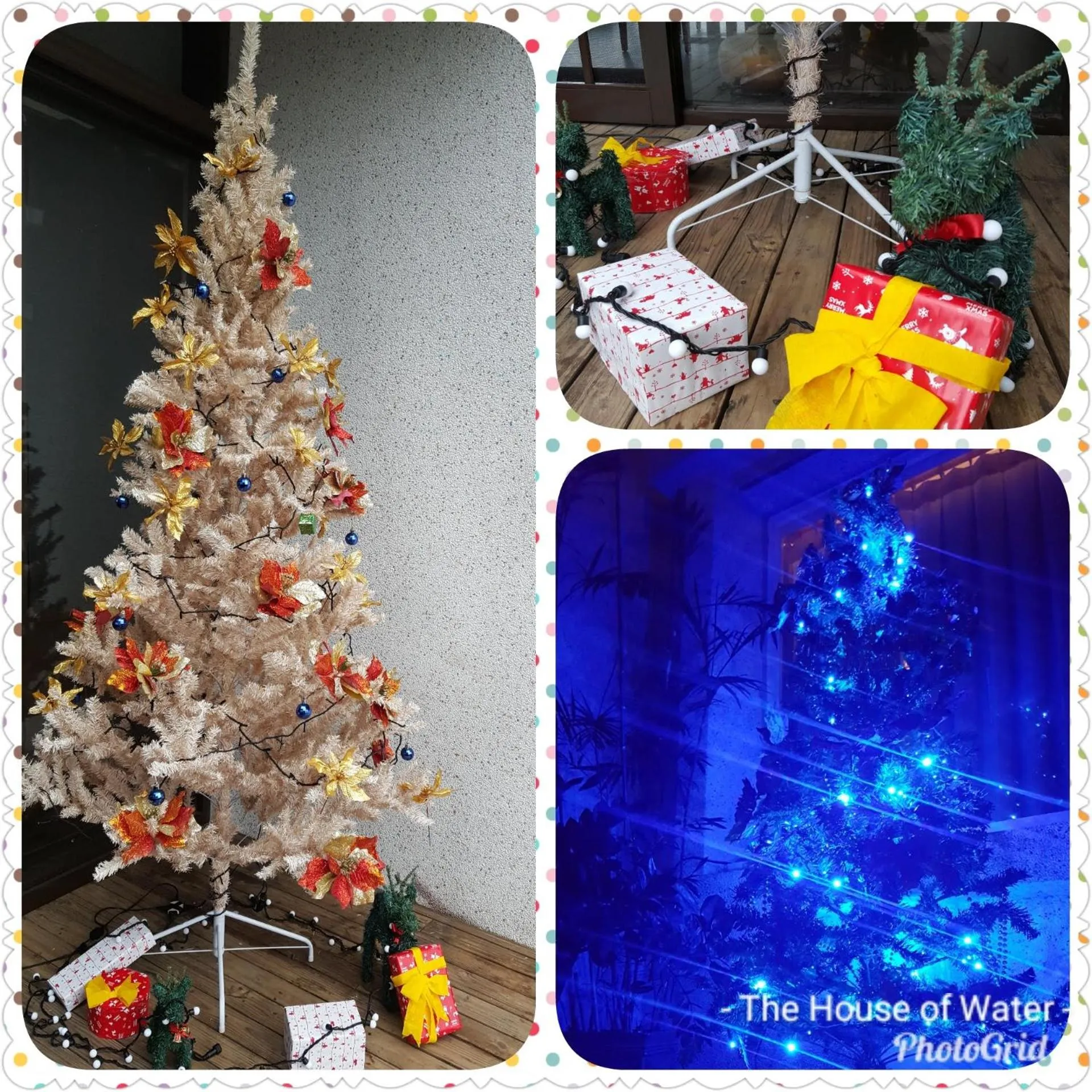 View (from property/room) in The House of Water