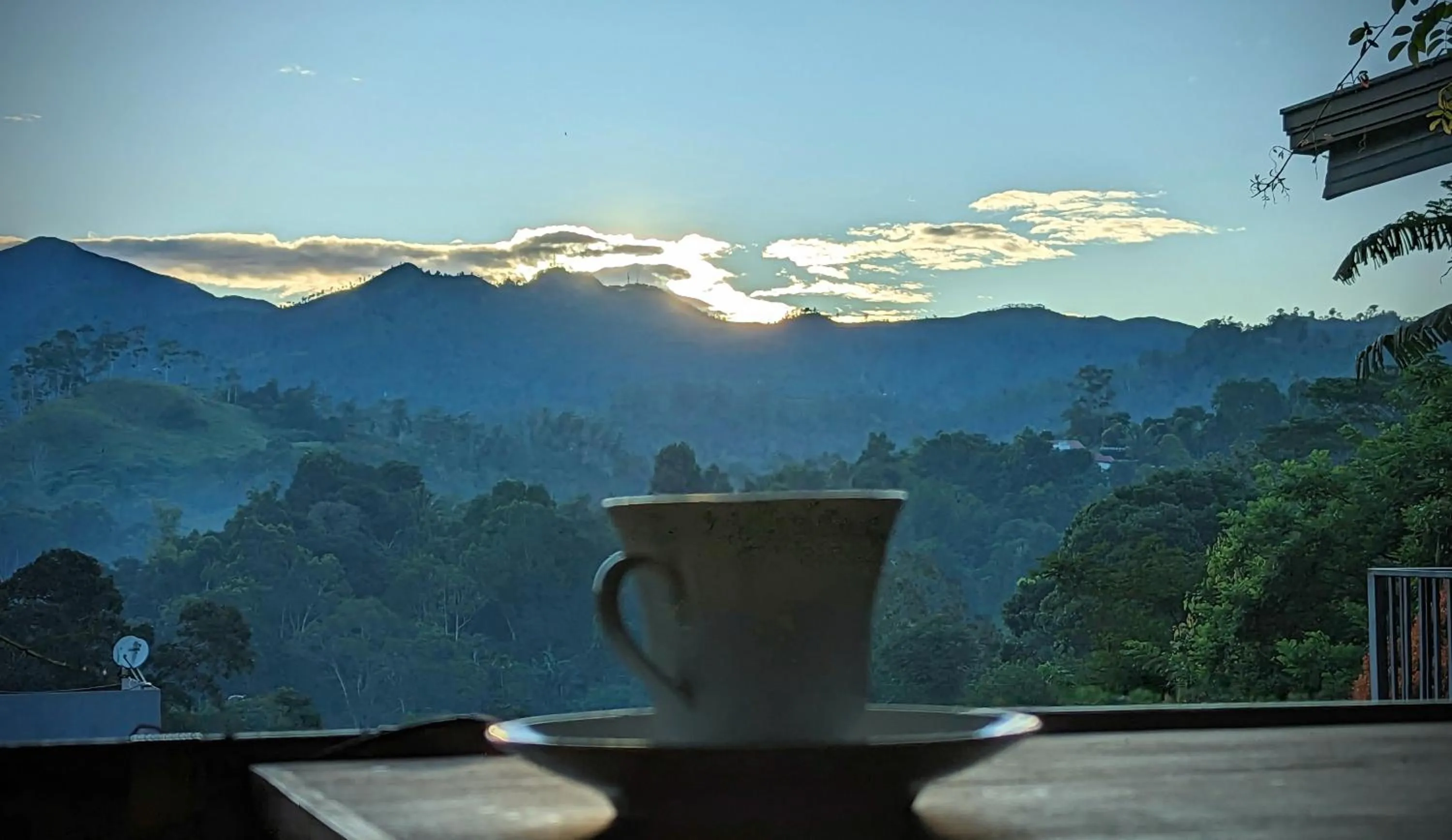 Restaurant/places to eat in Ella Dream Mount