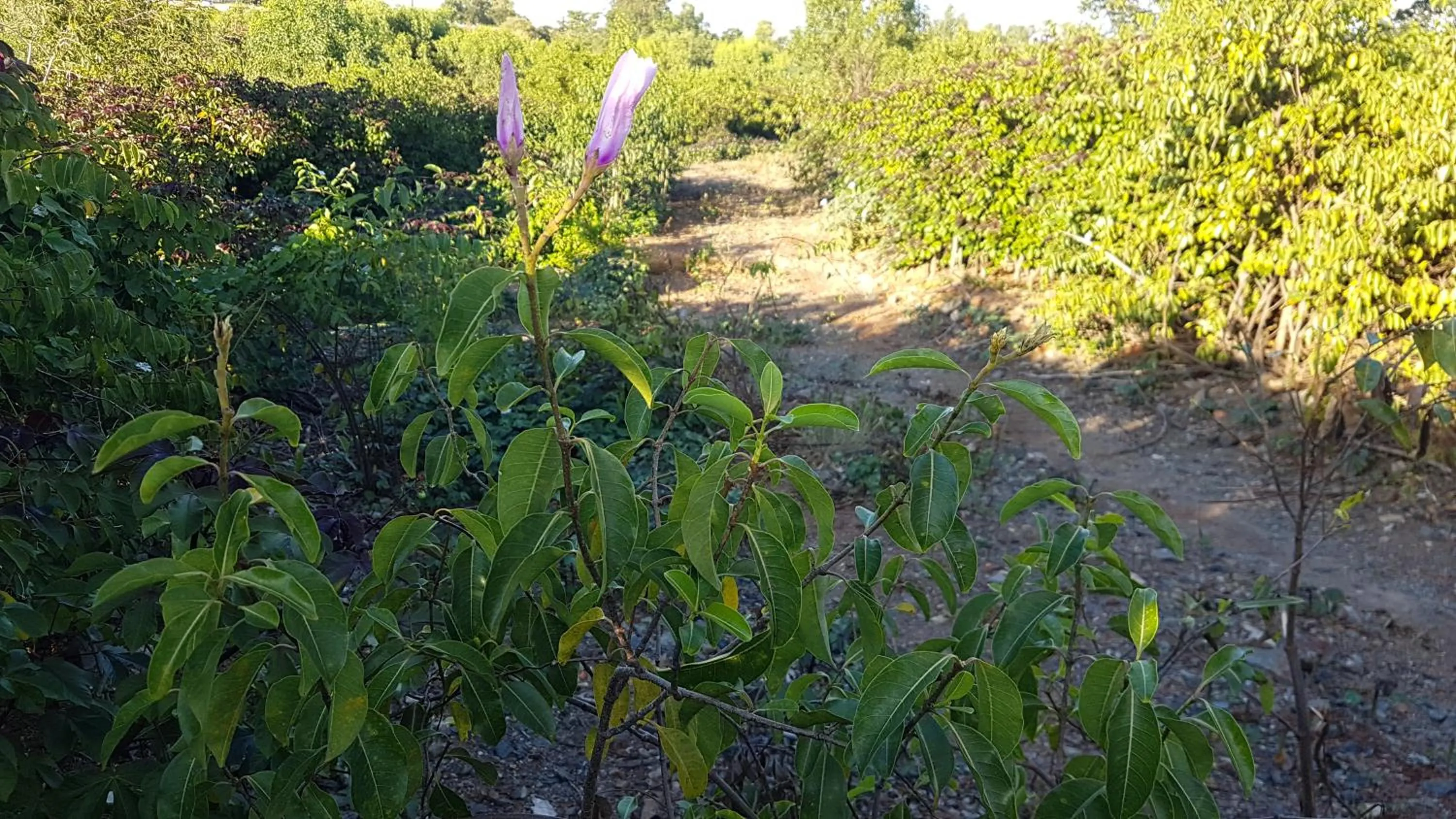 Hiking in Kernow - Minimum age 18